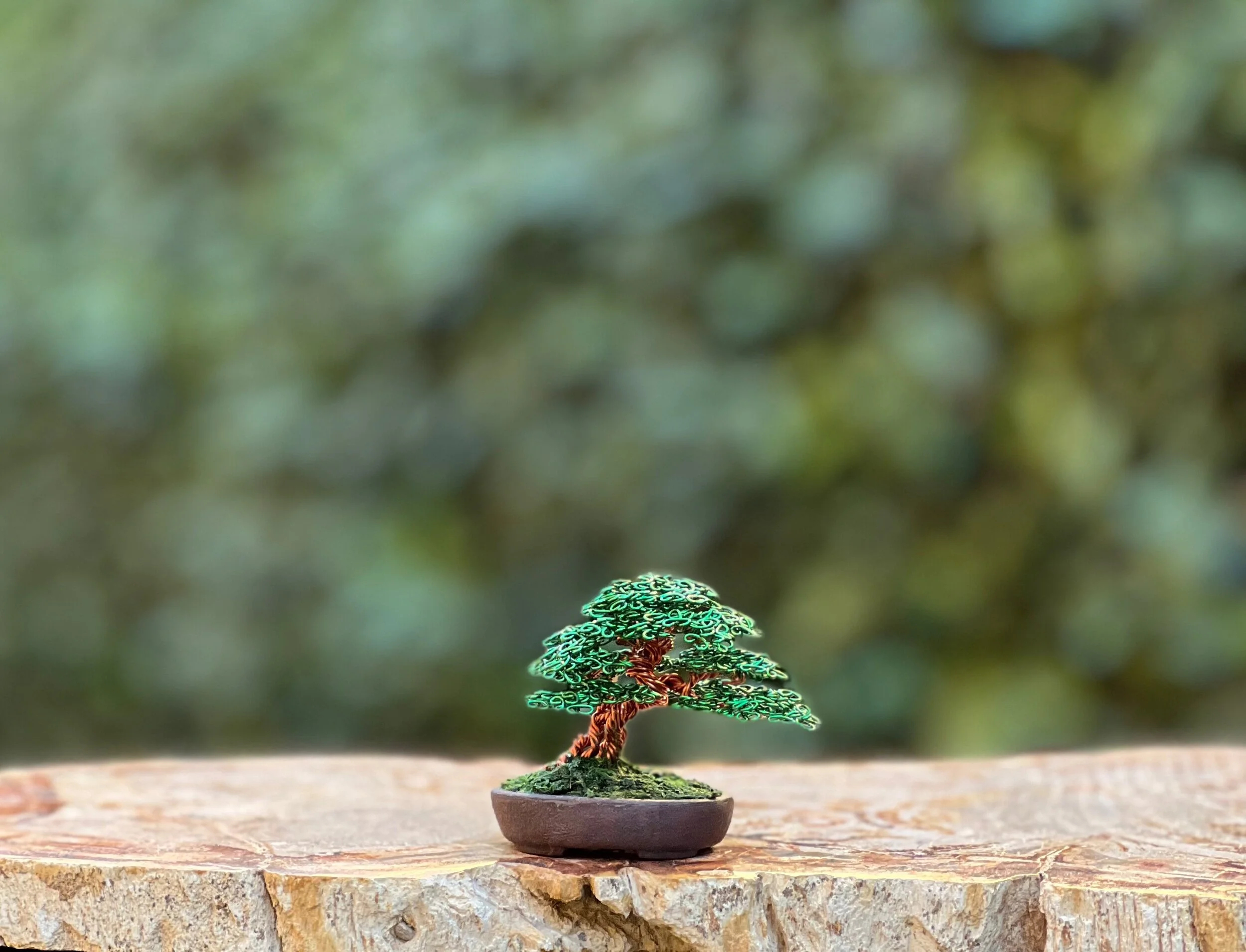 3DE393E3-02B6-4EE4-A7DA-22CB83B8679B