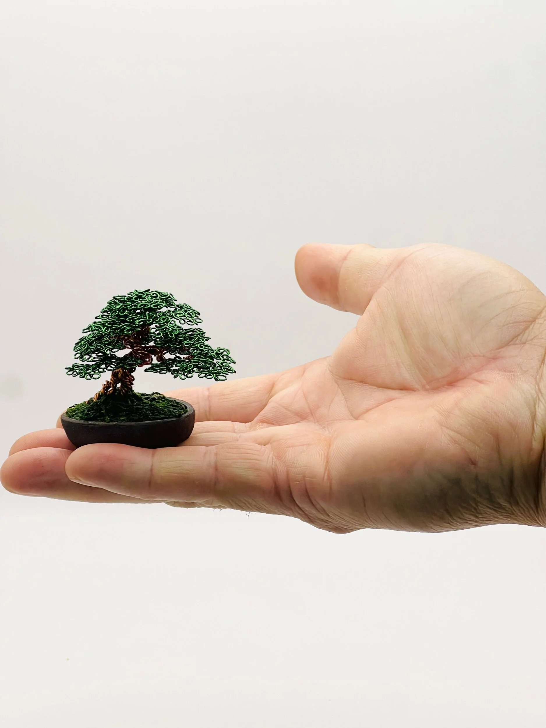 D4214675-C074-4C40-AE47-4A6B7D68BD0D