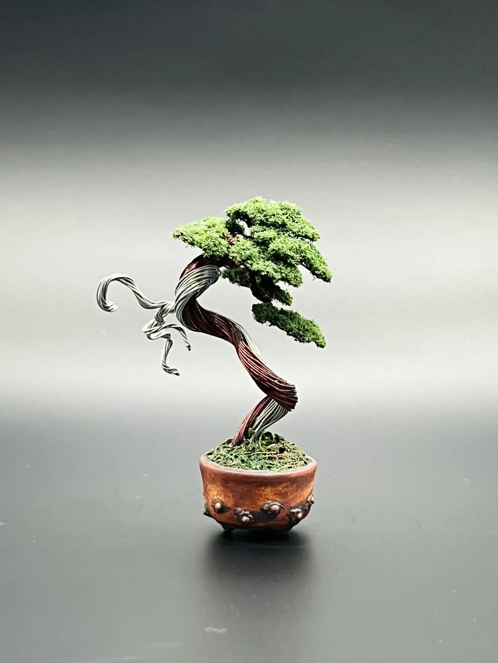 bonsai juniperus squamata Juniperus Squamata 140mm pot