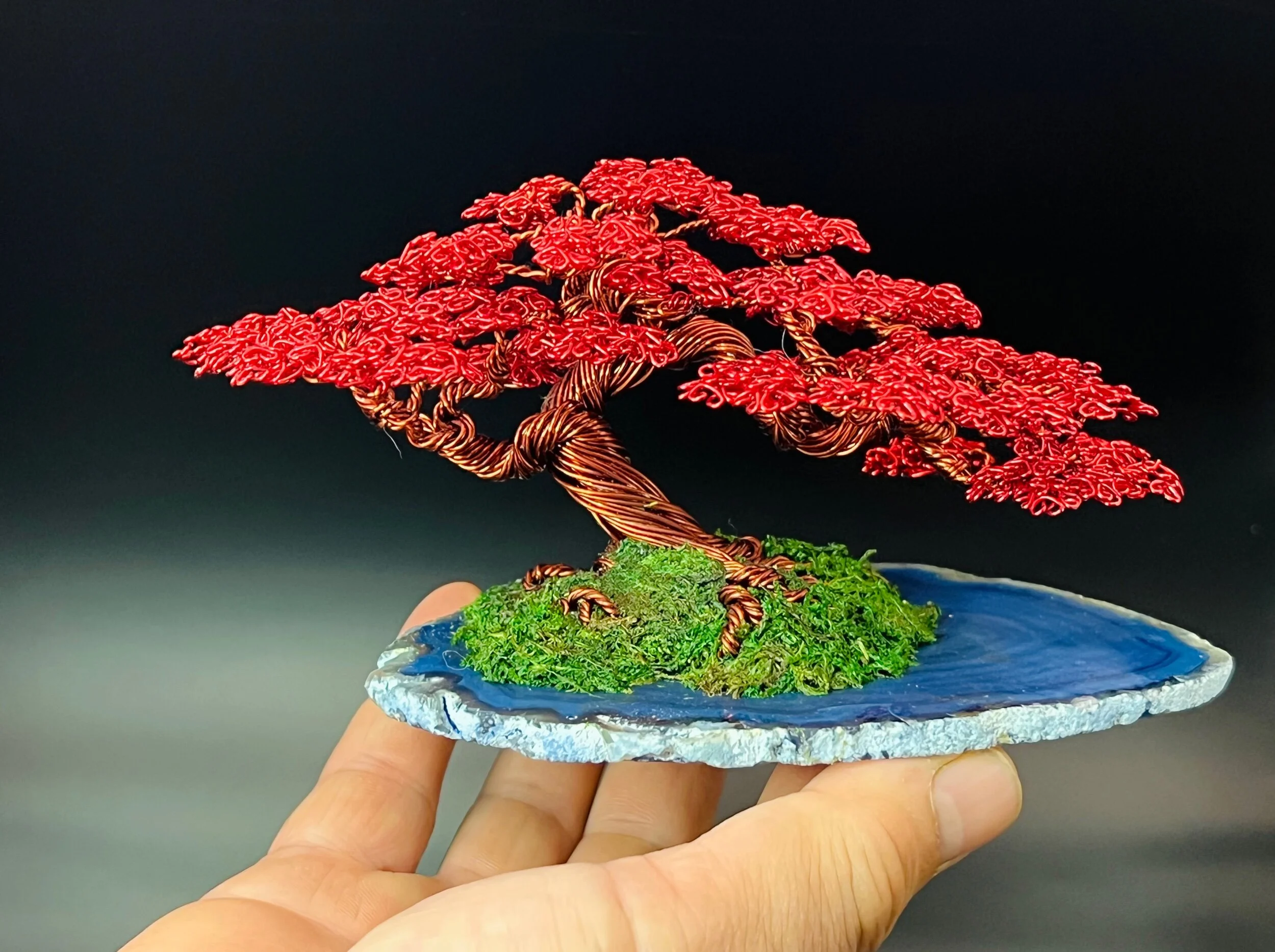 DE0056B6-0D32-44B9-80DA-D161CAF5AEDB