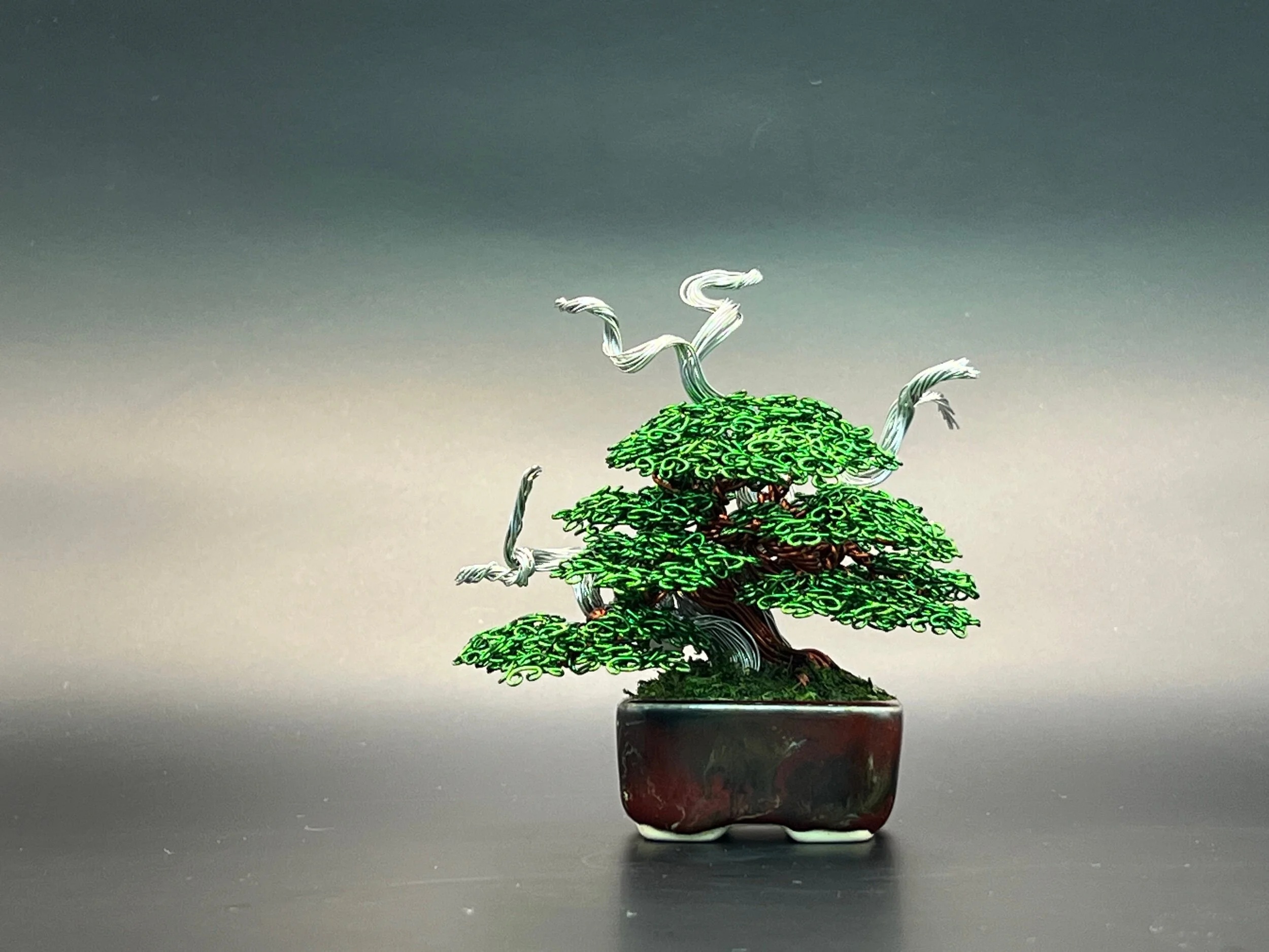 1AB3515F-93C2-4426-9385-C4A7110671C9