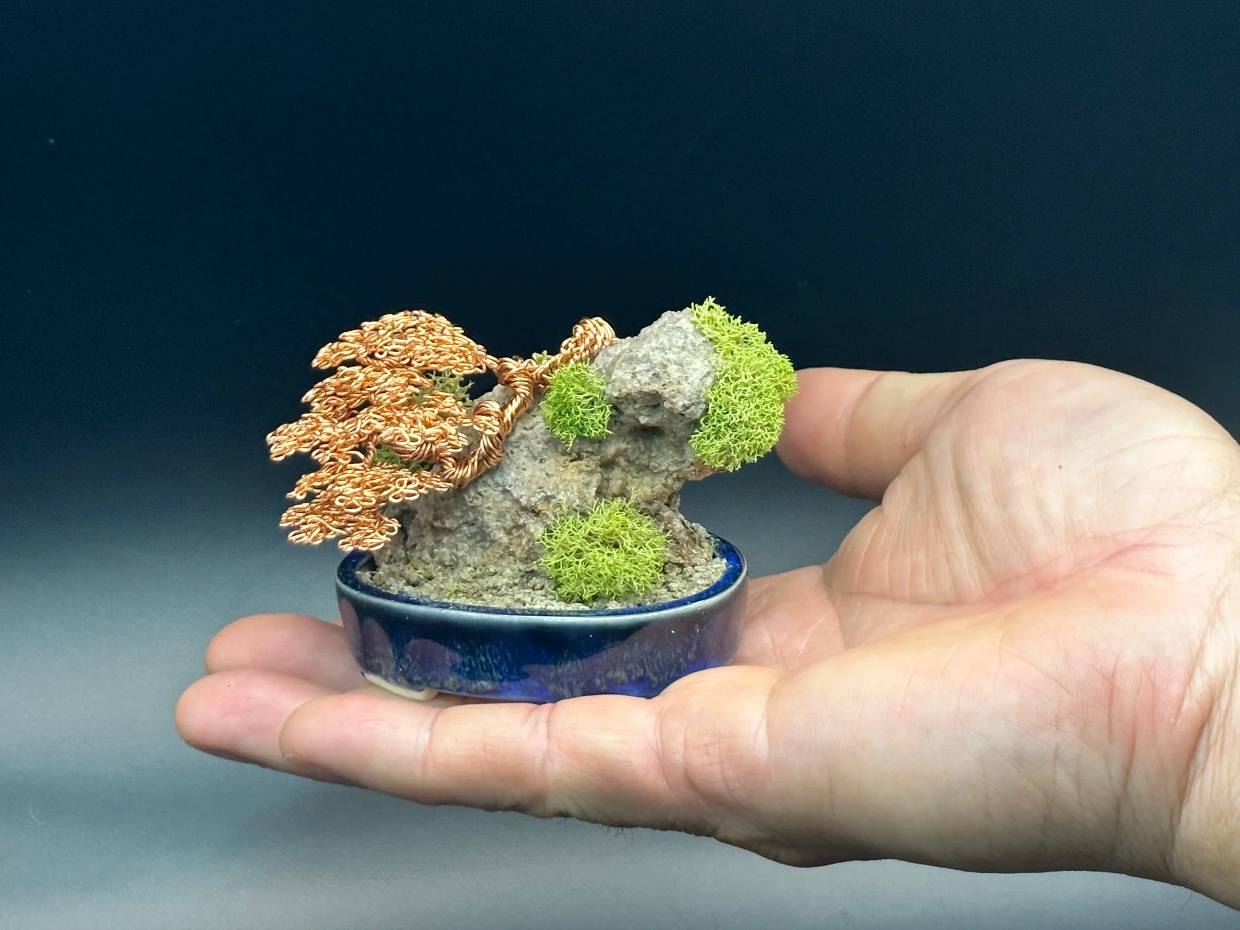 82DA42C0-F43D-4F99-8D98-71D4E227F996