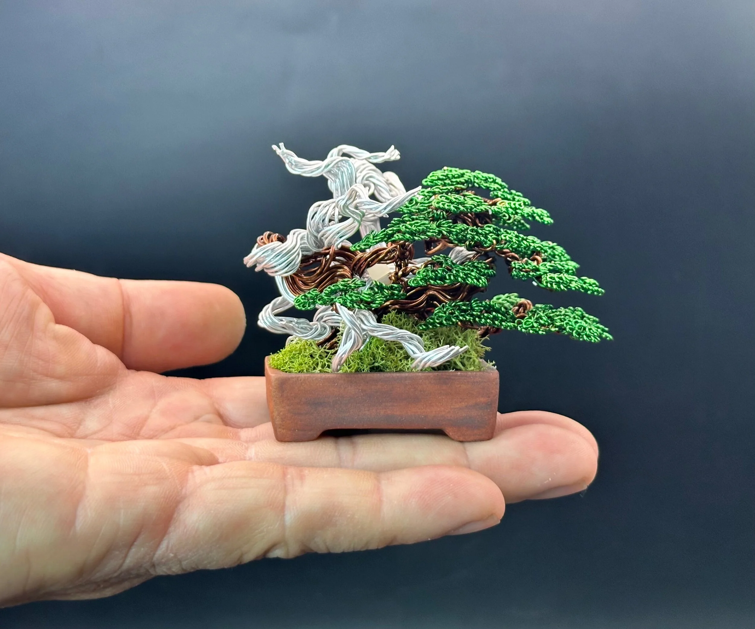 46869055-7CA7-4A68-A73C-659729497BC3