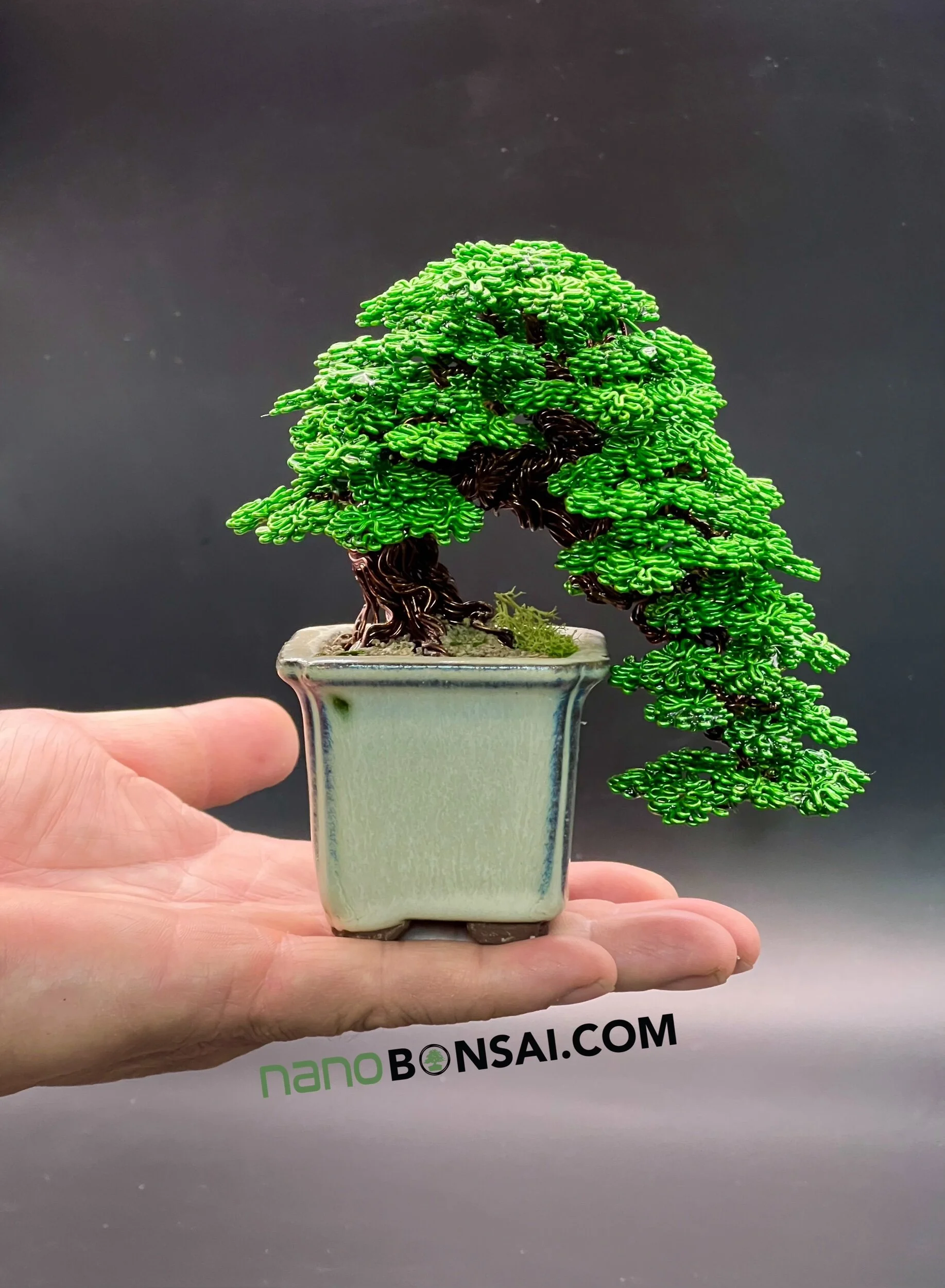 9A65D4C0-CCD7-431D-A98B-6BC298D7ED93