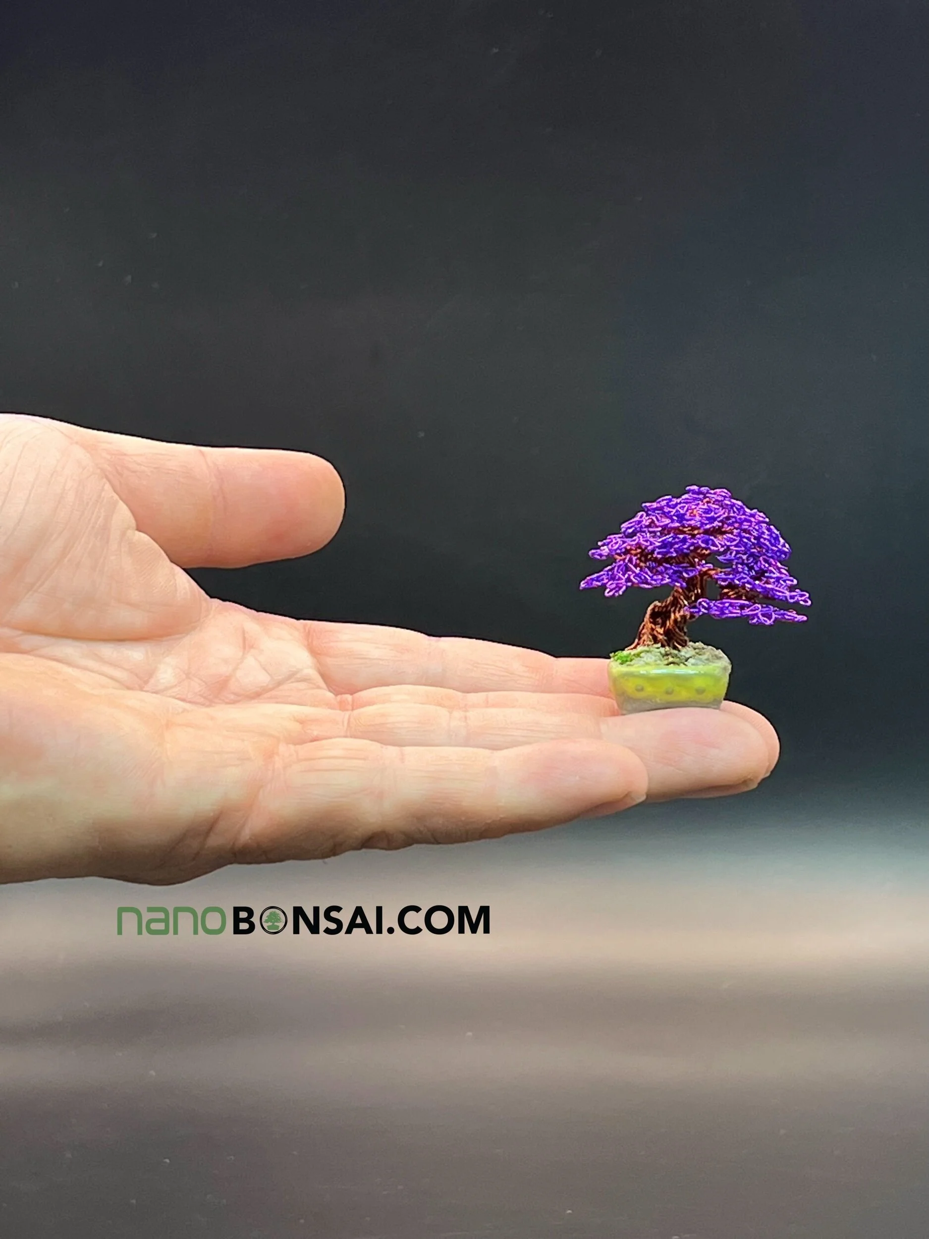 23AF2341-42A5-46E2-BFFB-62576E9E2A41