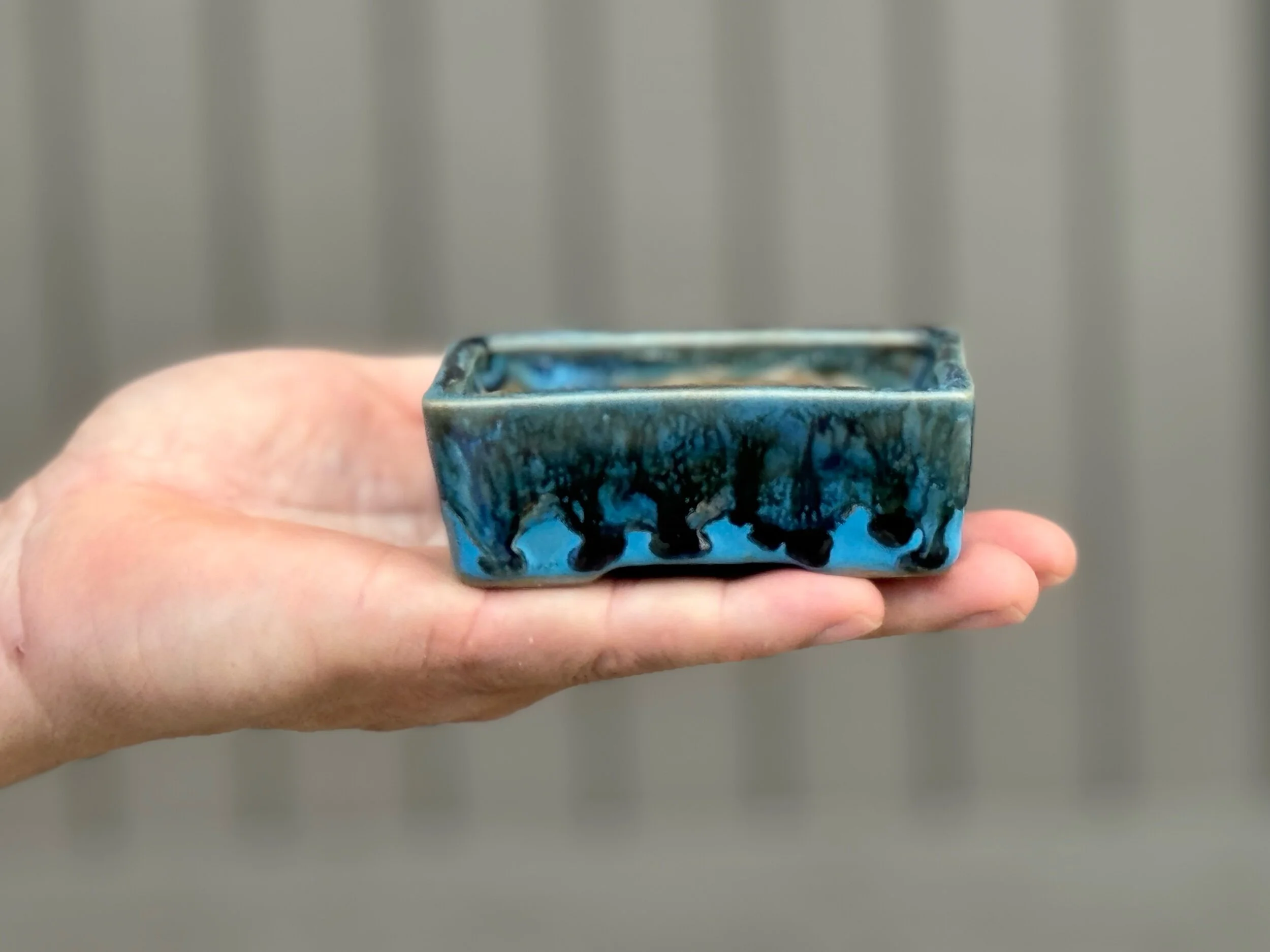 D00DFE5E-A318-4FB6-BAA6-BF9EE9AA6577