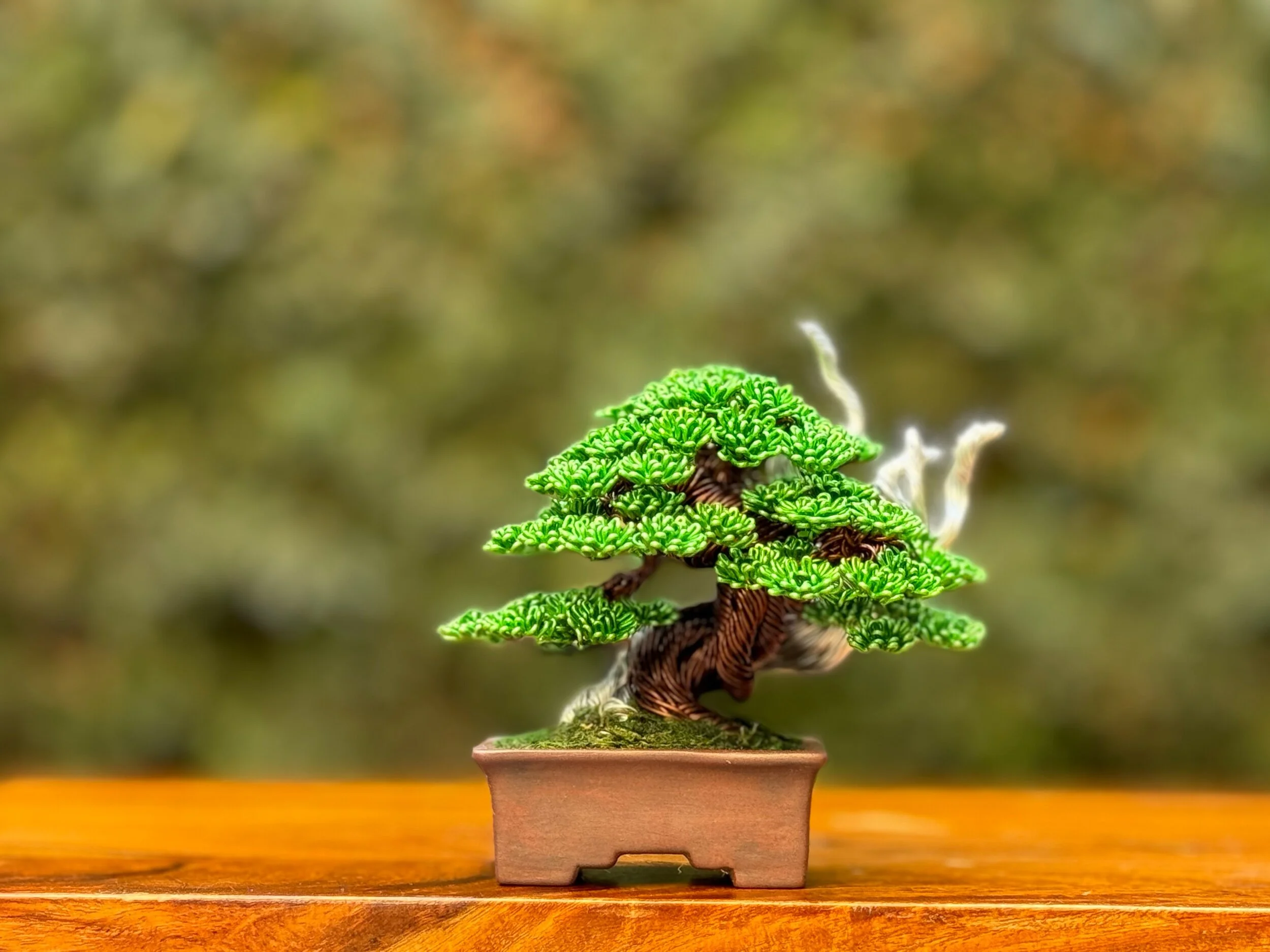 EAF26324-B07C-4797-8155-B18A02F3D64A