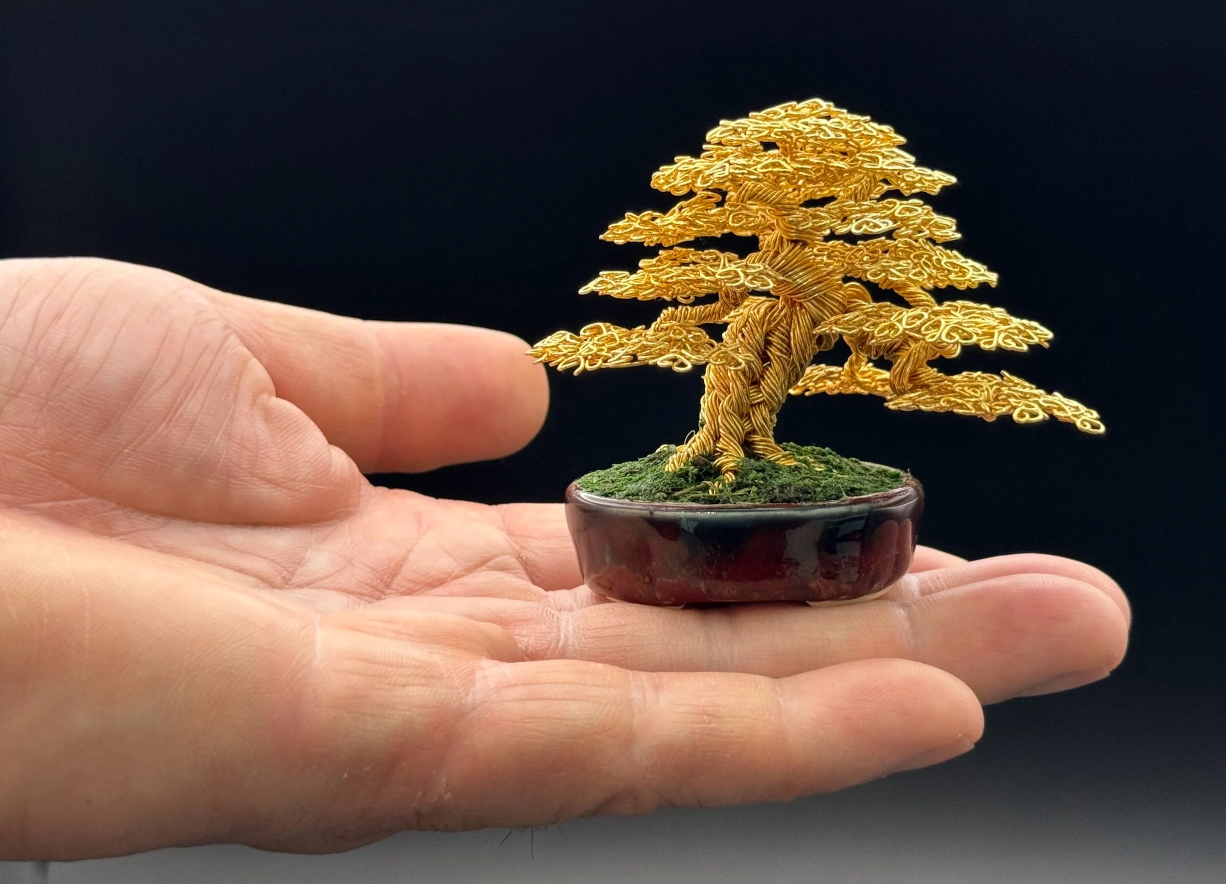 4A245B3C-84E8-4908-A5B1-A15E7CEFBF39