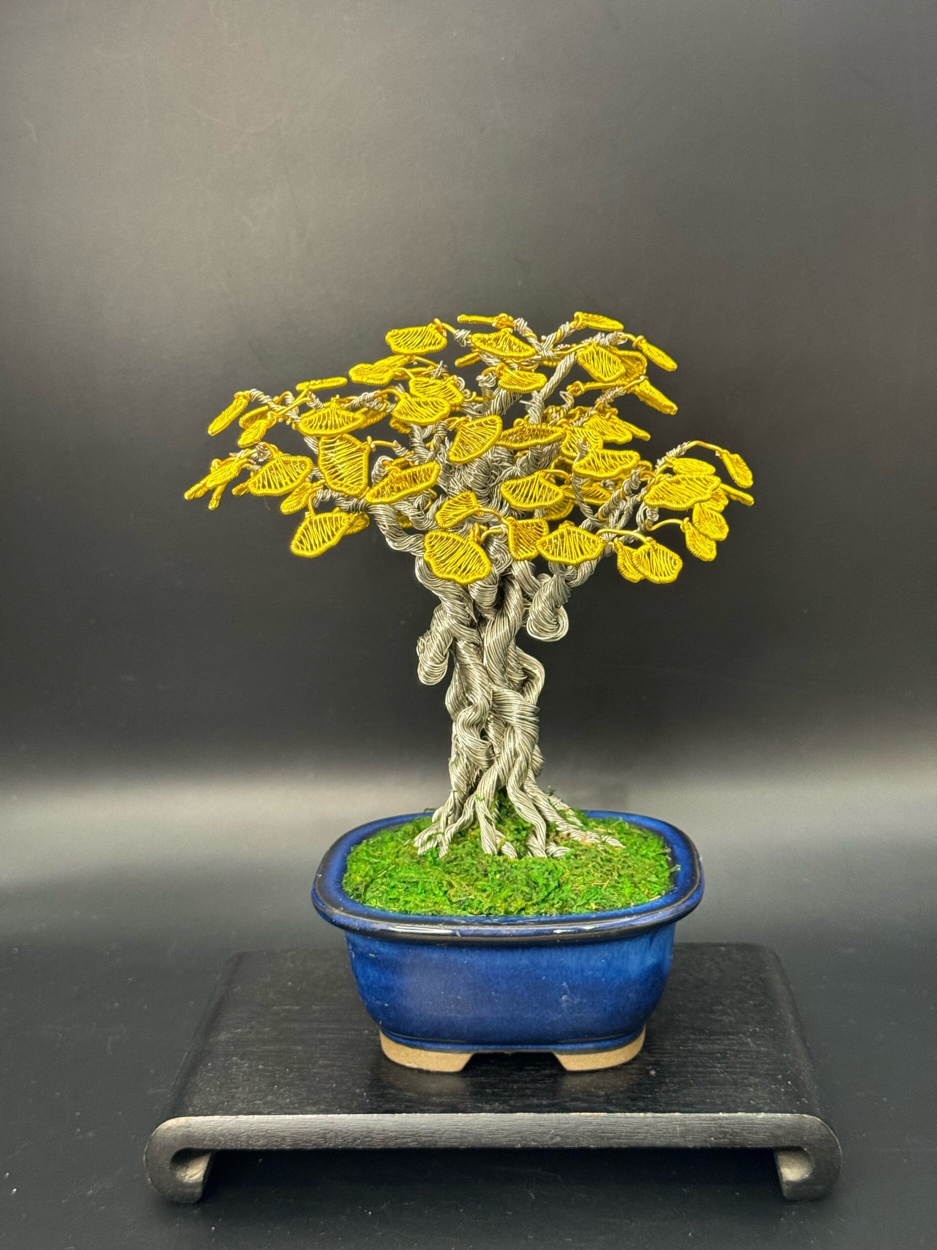 44C0363E-C326-4CF4-940D-753B52F61A9C