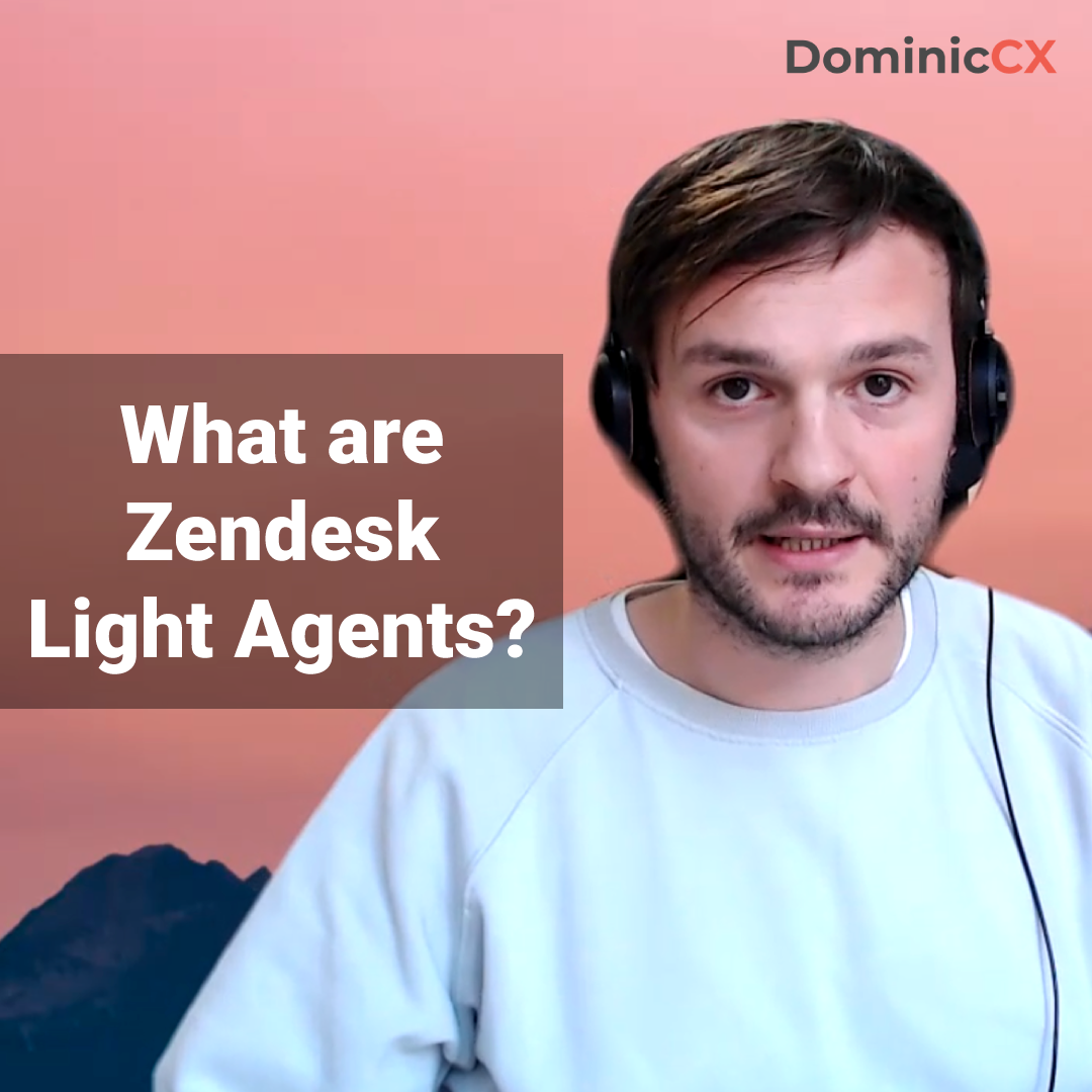 What are Zendesk Light Agents