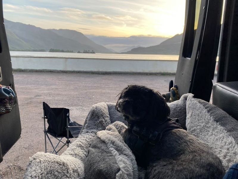 ❤️ We hope Sammy had a good time ❤️ we love #dogs and we love when they have a great time! 🐶 @emilyhawcroftpetcareservices #campervan #campervanhire #scotland #lakedistrict #petfriendly #staycationuk