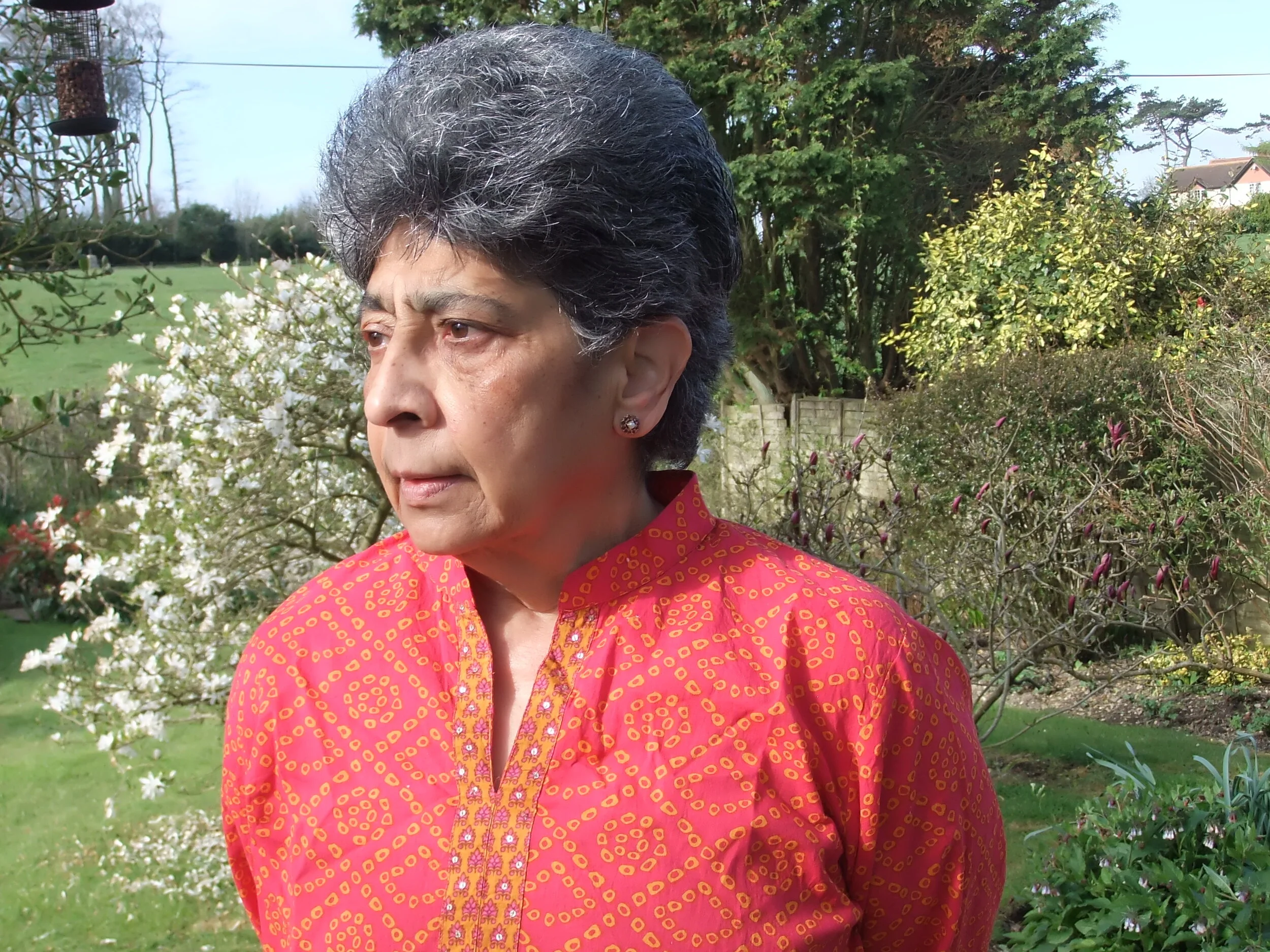 Suniti Namjoshi.JPG