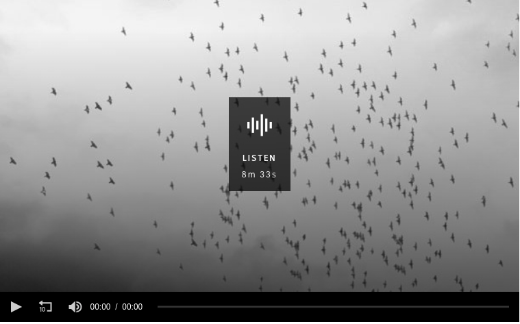 Murmurations explores the complications of intersecting lives and the harbouring of secrets   On Early Mornings with Barry Nicholls