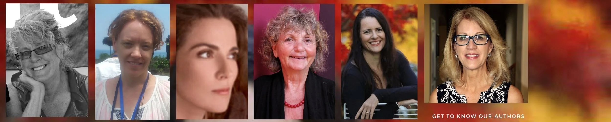 Radfem Starter Pack Authors.jpg