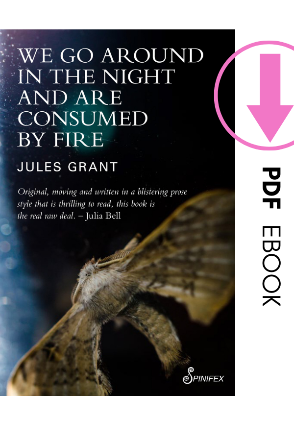 We Go Around in the Night and Are Consumed by Fire by Jules Grant ebook (PDF)