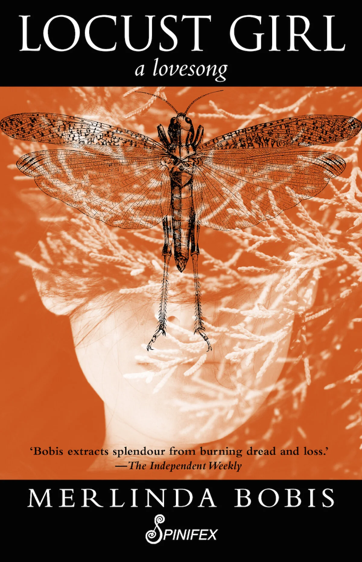 Locust Girl: a lovesong