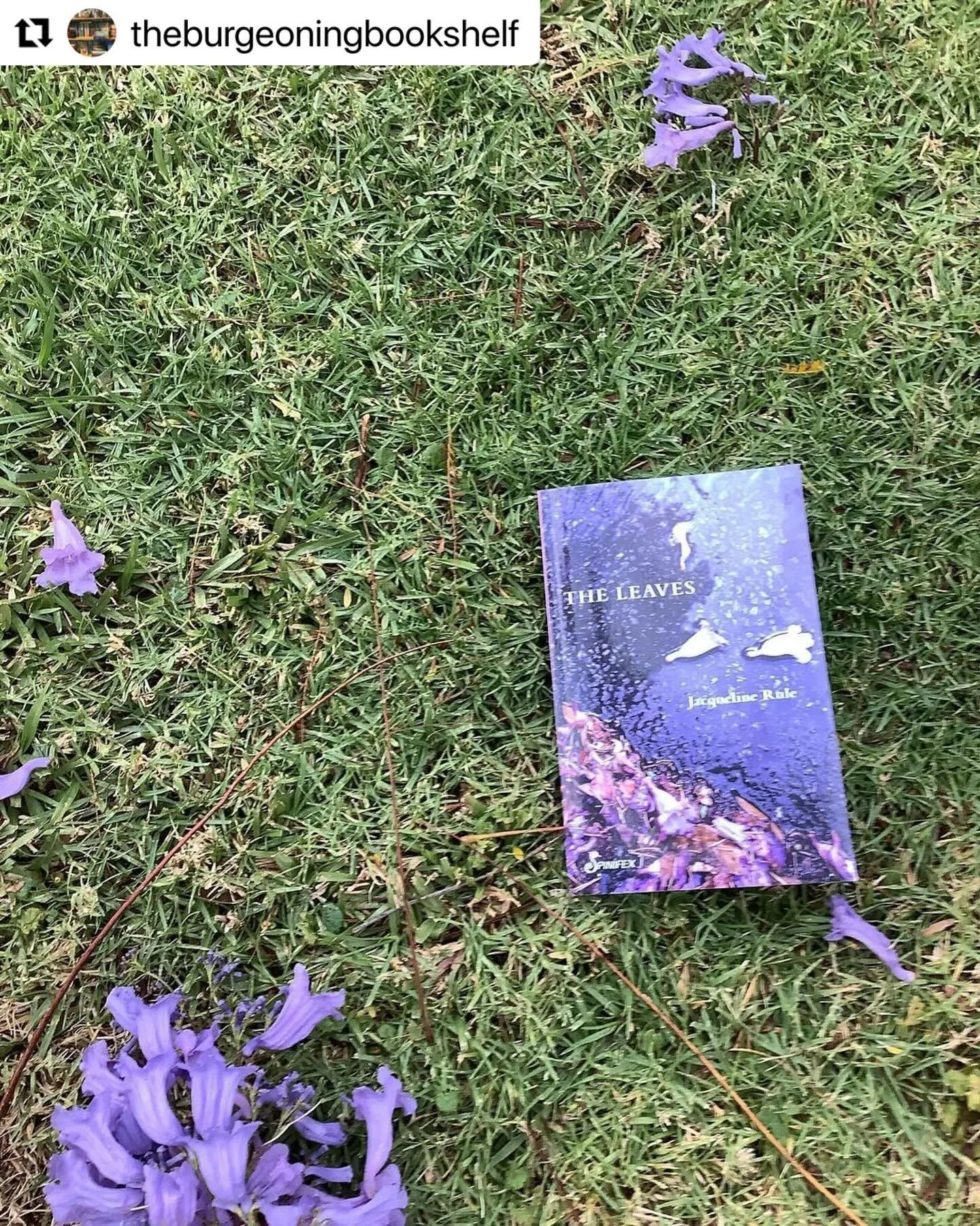 Repost via @theburgeoningbookshelf 
・・・
🇷&zwnj;🇪&zwnj;🇻&zwnj;🇮&zwnj;🇪&zwnj;🇼&zwnj;: 🇹&zwnj;🇭&zwnj;🇪&zwnj; 🇱&zwnj;🇪&zwnj;🇦&zwnj;🇻&zwnj;🇪&zwnj;🇸&zwnj; 🇧&zwnj;🇾&zwnj; 🇯&zwnj;🇦&zwnj;🇨&zwnj;🇶&zwnj;🇺&zwnj;🇪&zwnj;🇱&zwnj;🇮&zwnj;🇳&zw