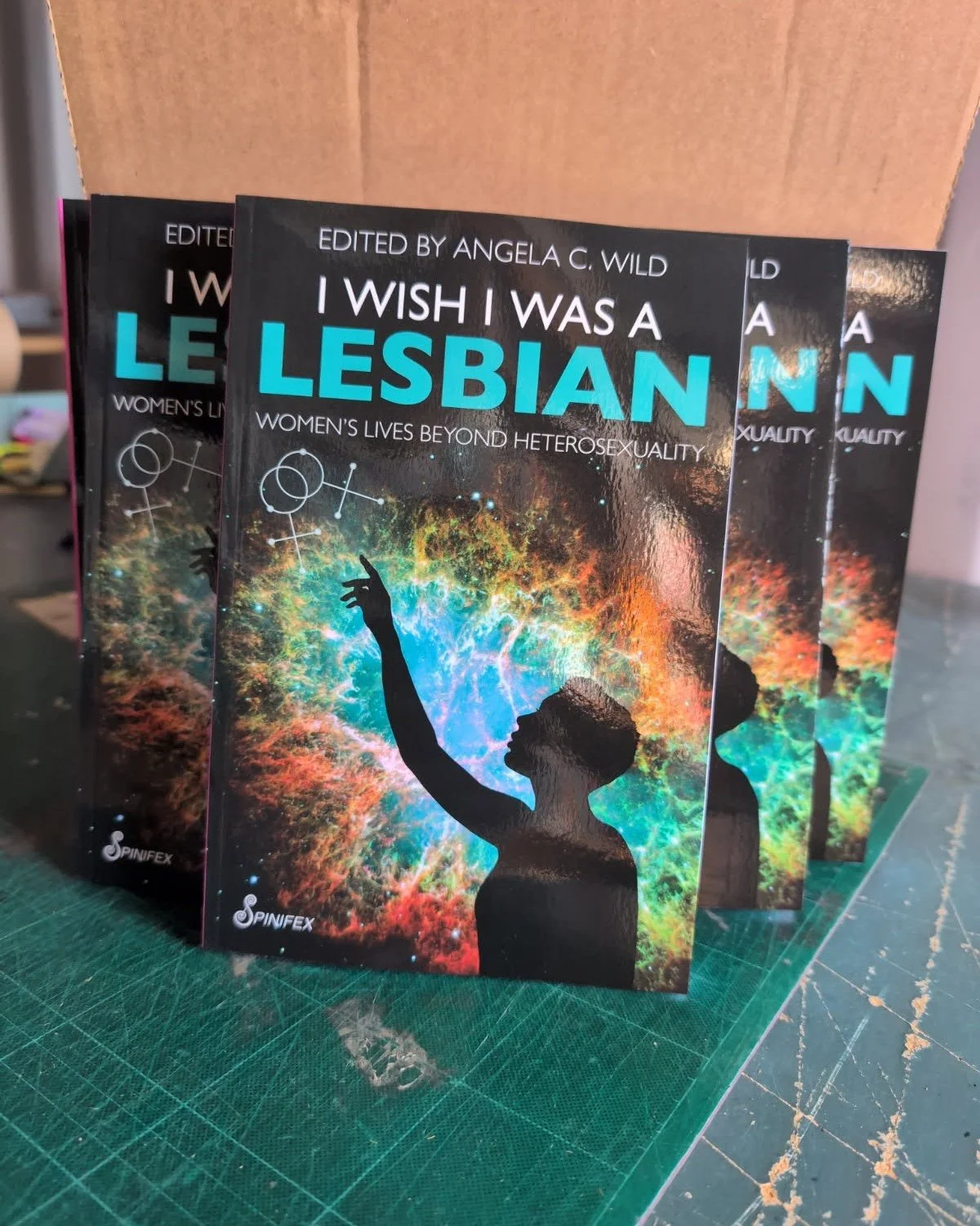 Fresh from the printer - I Wish I Was a Lesbian by @angela.c.wild! 

Contributors include Julie Bindel, Sheila Jeffreys, Angela C. Wild, Renate Klein, Elizabeth Vigo, Susan Hawthorne, Anne Ehrlich and more. 

Pre-order your copy - link in stories.