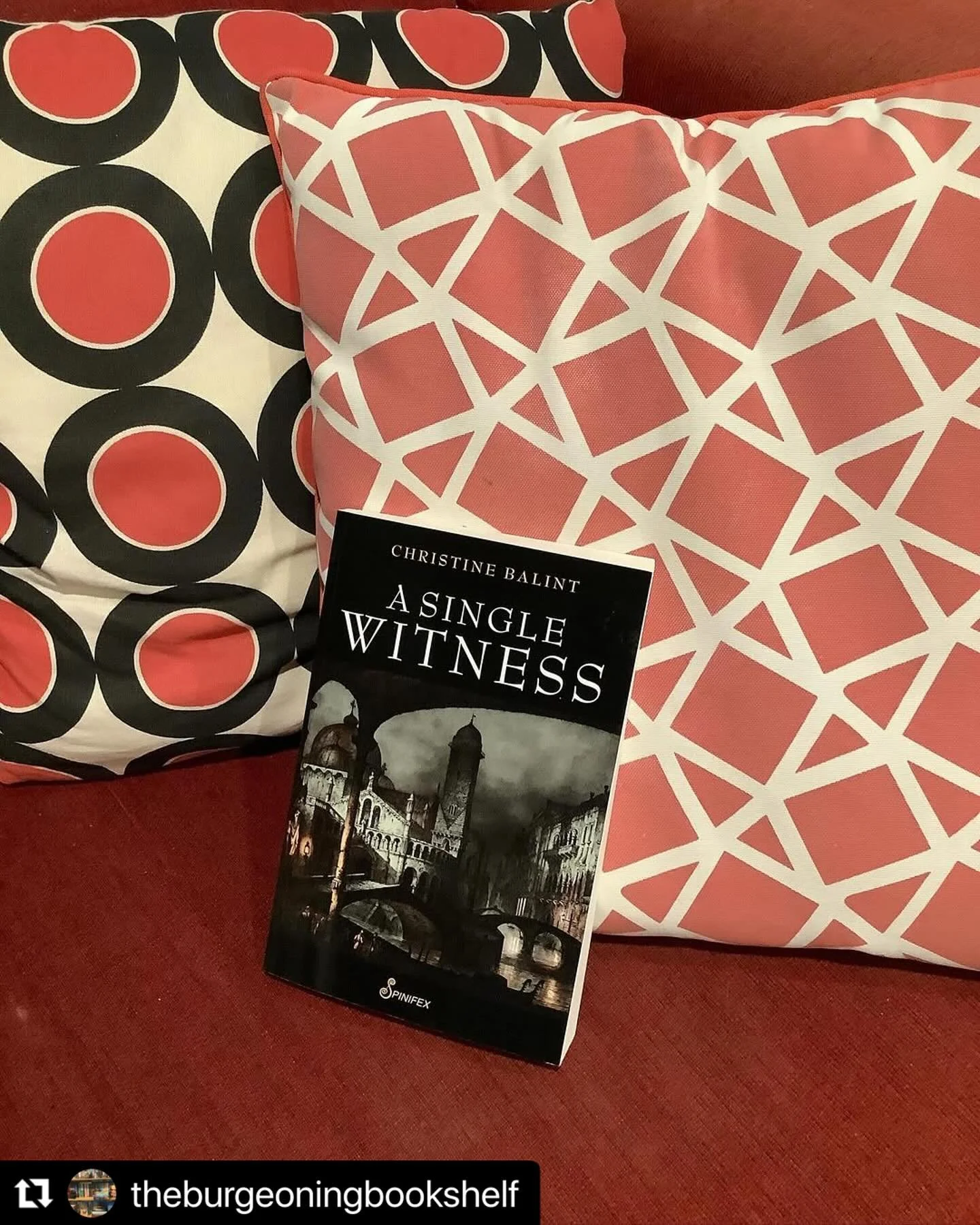 Repost via @theburgeoningbookshelf 
・・・
𝔸 𝕊𝕚𝕟𝕘𝕝𝕖 𝕎𝕚𝕥𝕟𝕖𝕤𝕤 By Christine Balint @christinebalintwriter 

✨Review ✨

A Single Witness is the evocative and moving story of Anna Maria&rsquo;s battle to be heard in a male dominated world. Set 