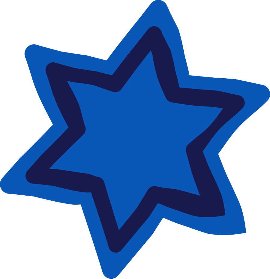 Stylized blue star with a dark blue outline.