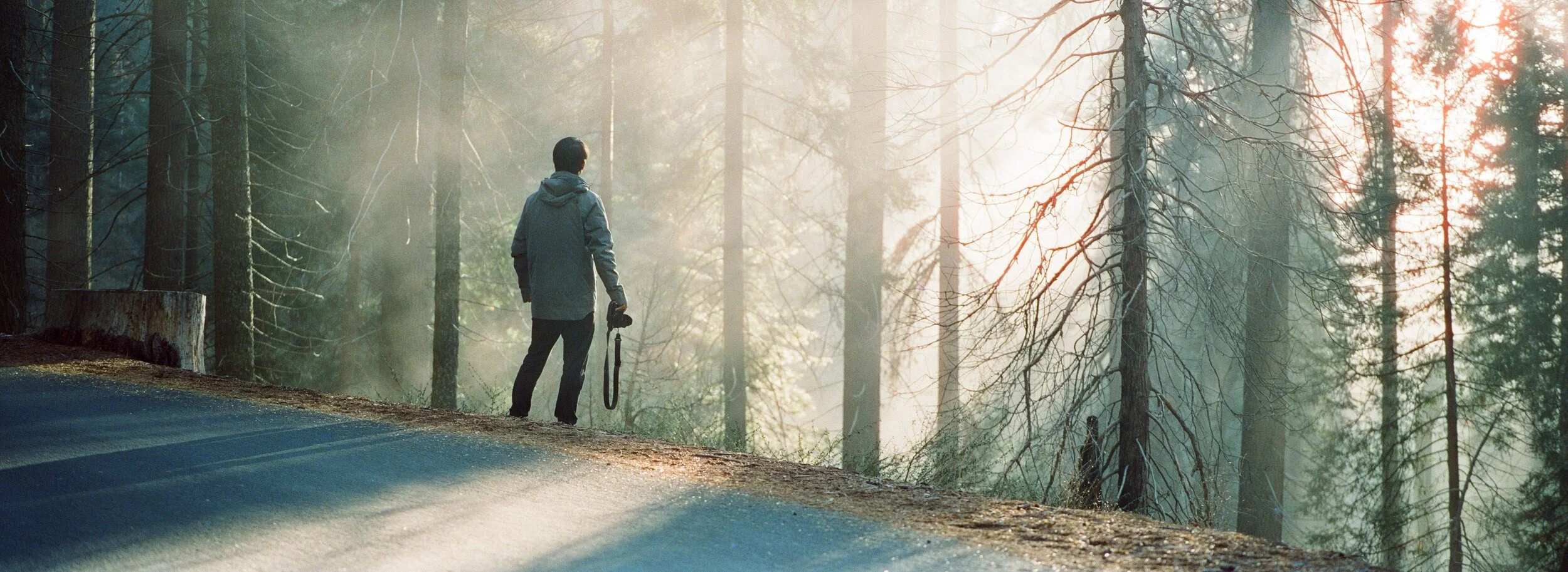 Camera Spotlight Hasselblad Xpan — PHOTO CINEMATICA