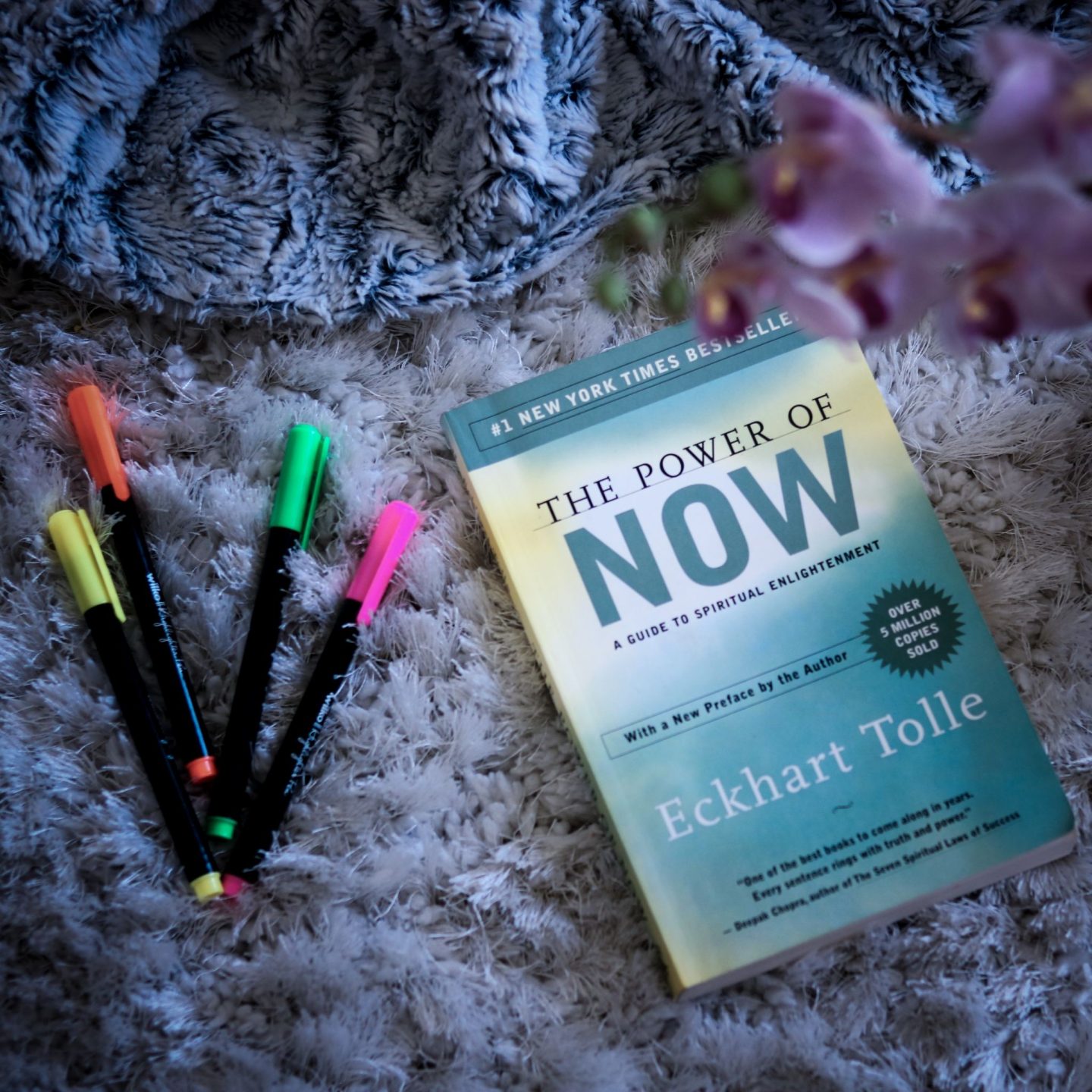 30 Second Book Review: The Power of Now by Eckhart Tolle — Follow Your  Sunshine