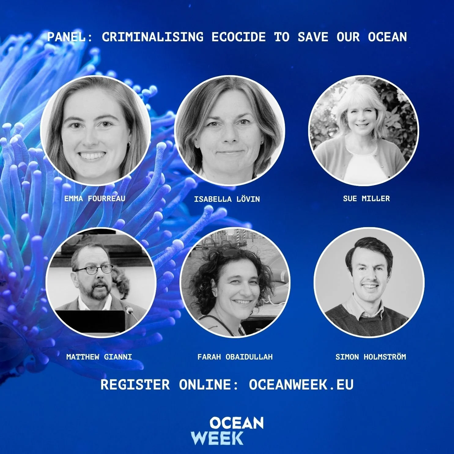 Criminalising Ecocide To Save Our Ocean flyer2.jpeg