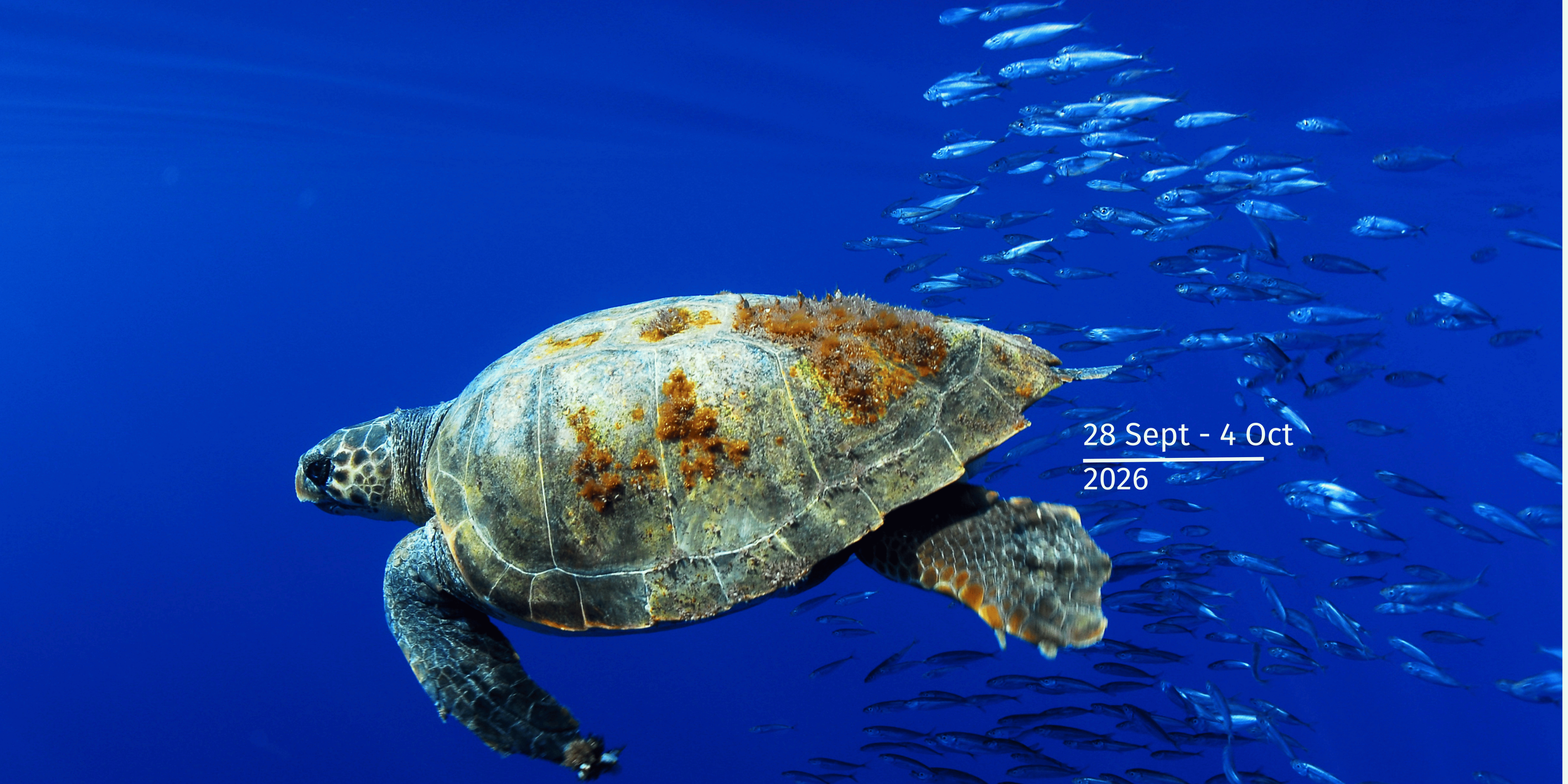 2026 dates for website (2).png