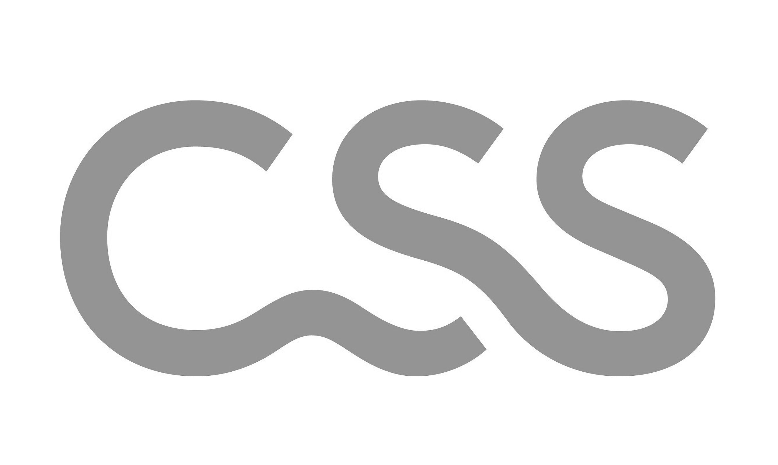 css-logo.jpg