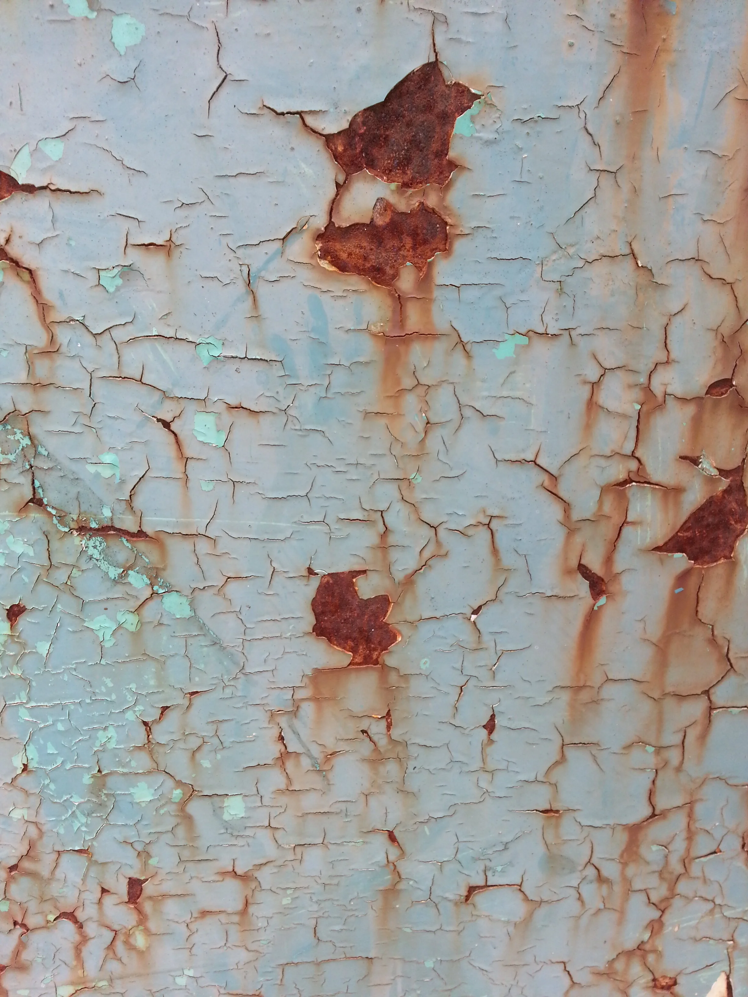 20180501_150126.jpg