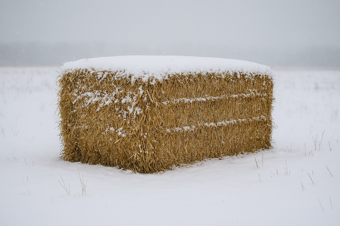 Kvalitet i leveringen af halm er vigtig i denne kolde tid
