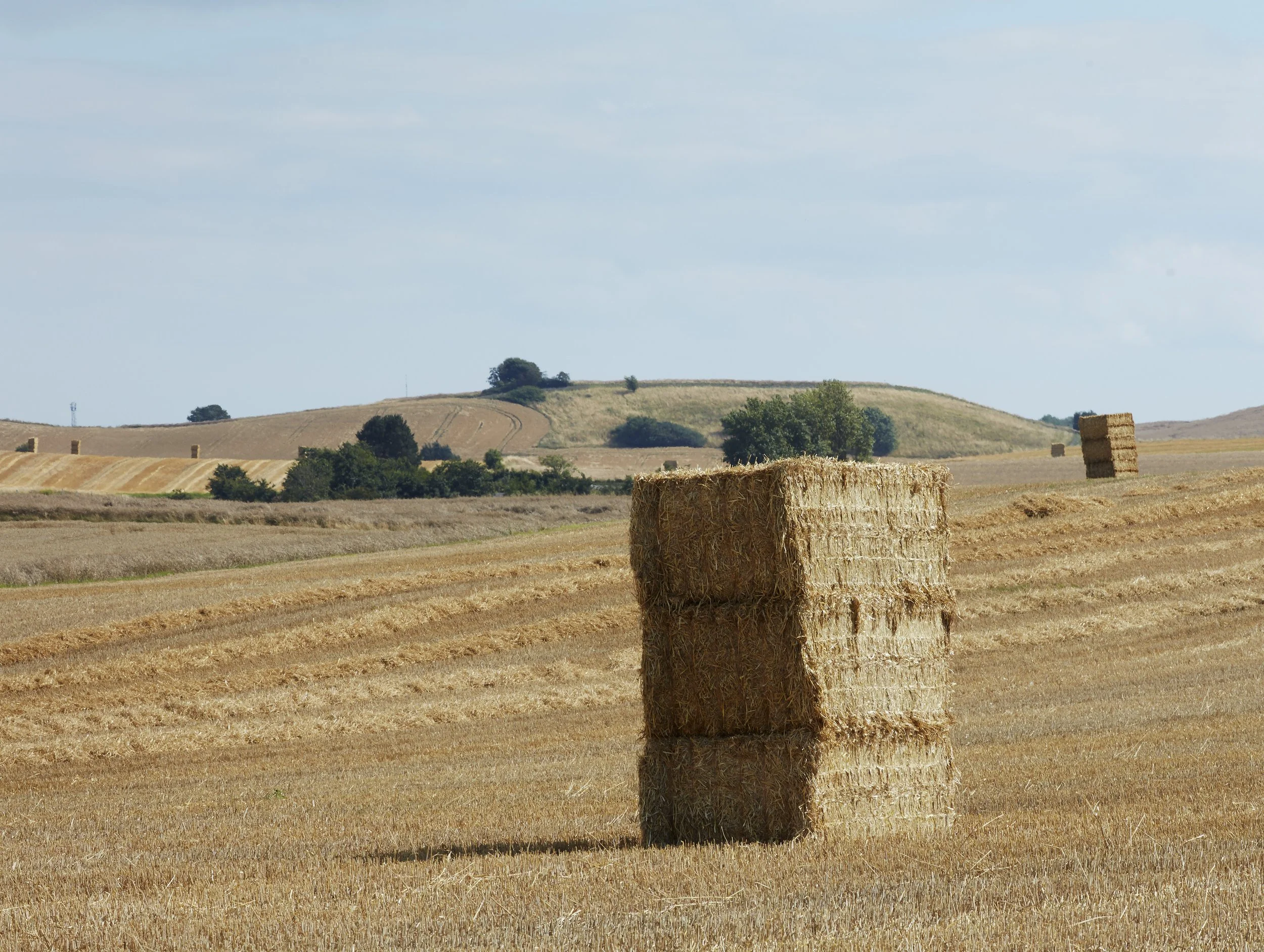 Krav til halm der indeholder Mustang Forte