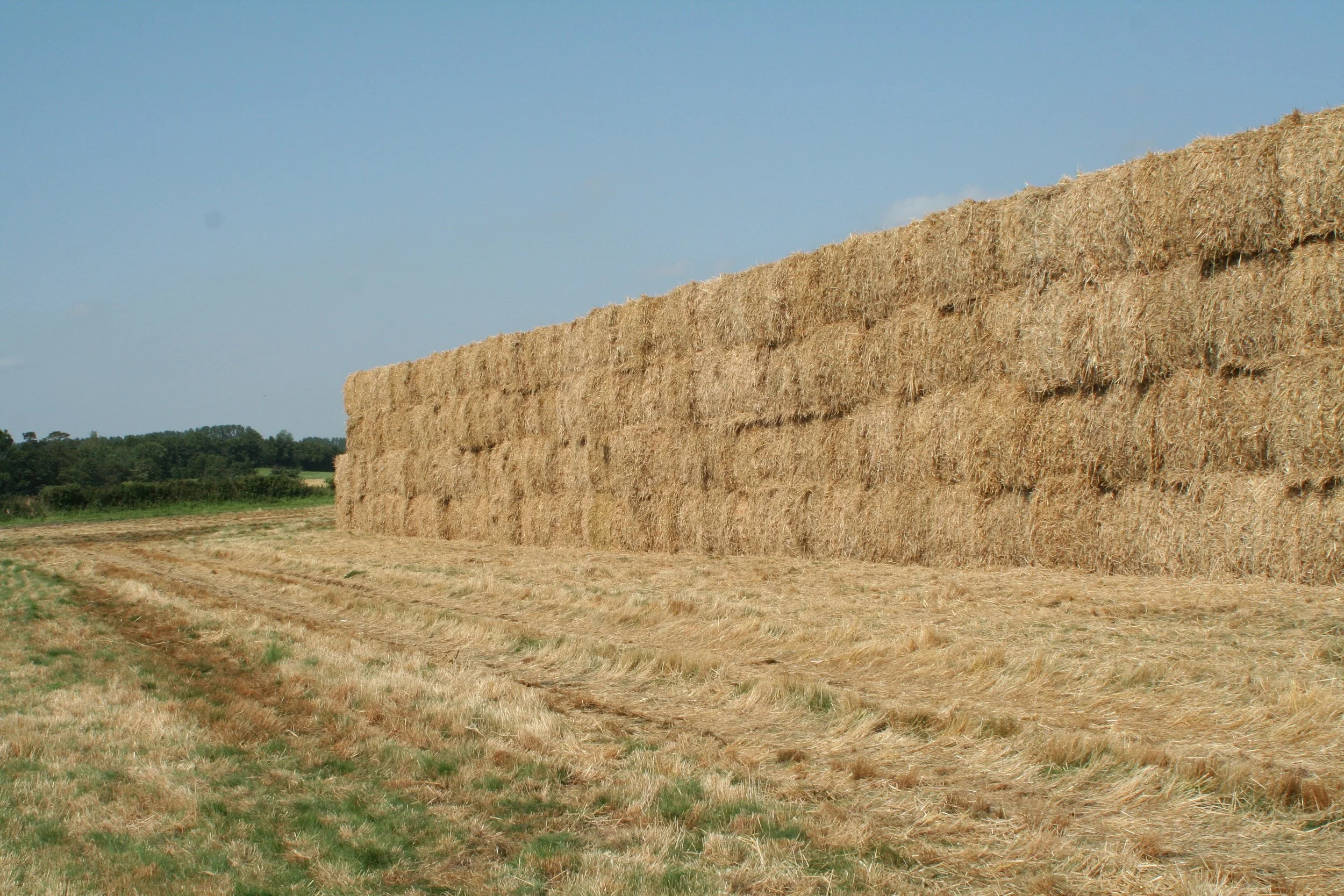 Forventning om overskydende kontrakthalm på enkelte værker