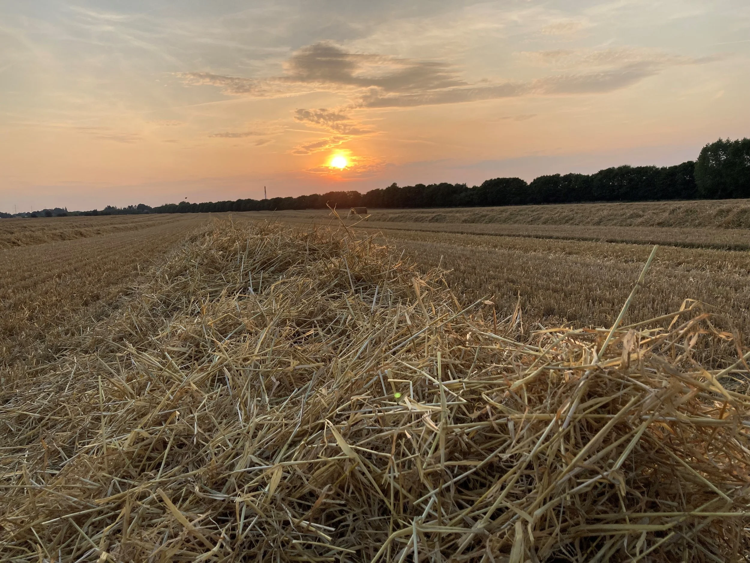 Arcadia eFuels projekt på Vordingborg Havn skal bruge bæredygtigt CO2 fra Green2x kommende halmbaseret biogasanlæg