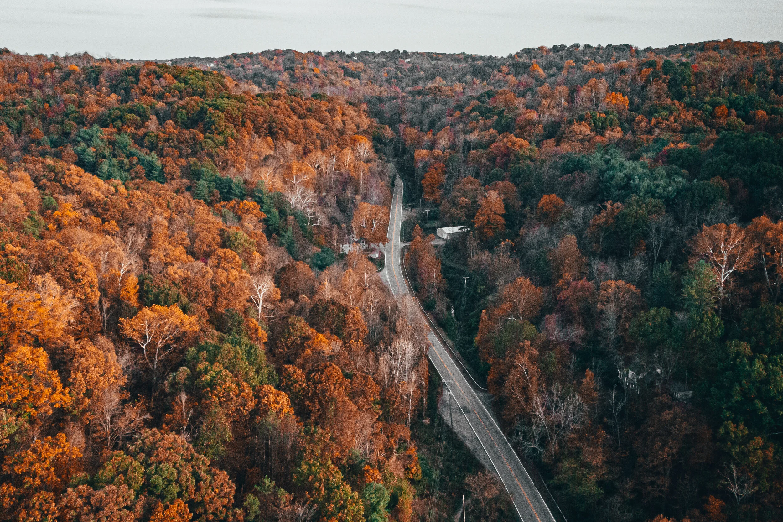 DJI_0083.jpg
