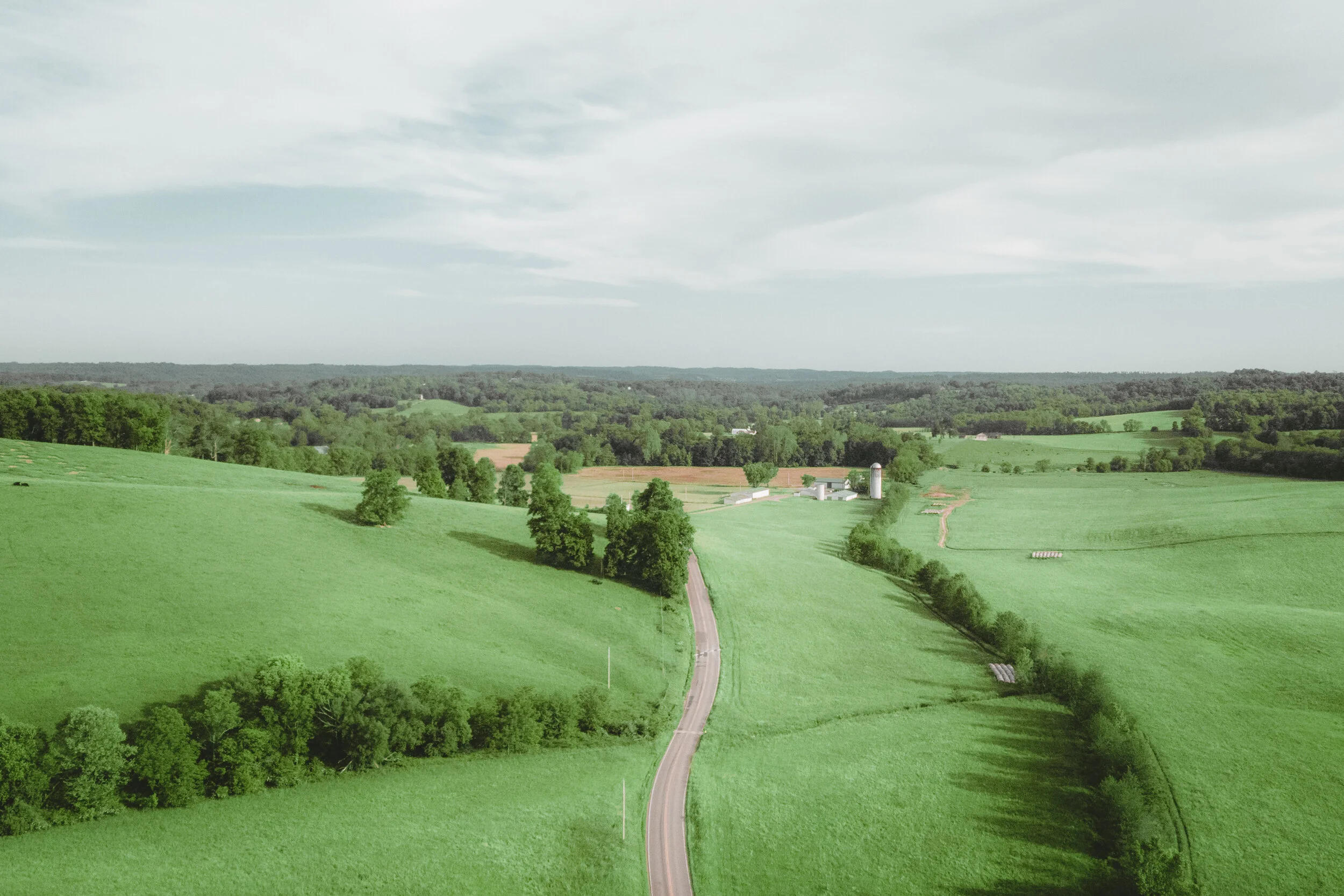 DJI_0277.jpg