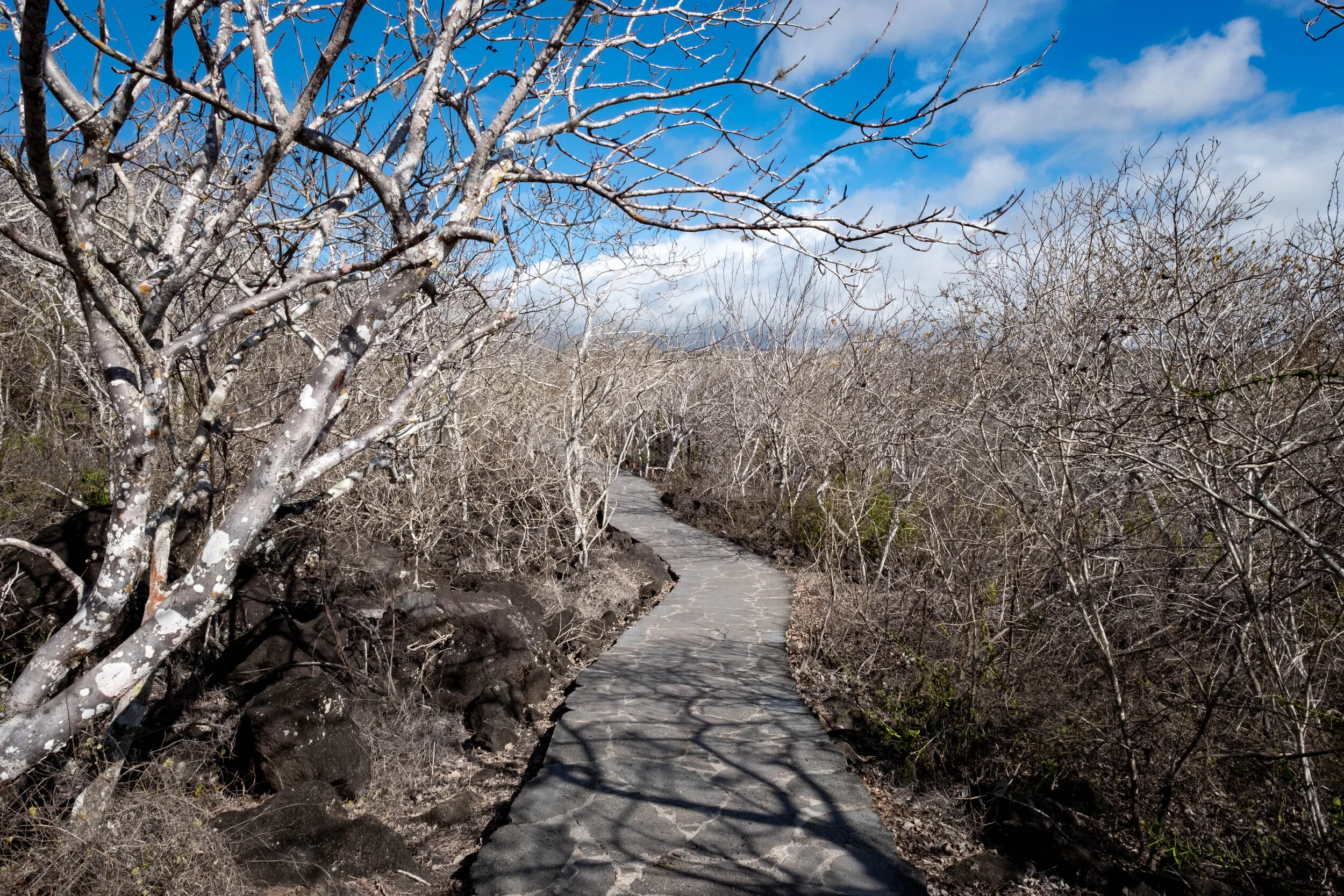 walk to tijeretas.JPG