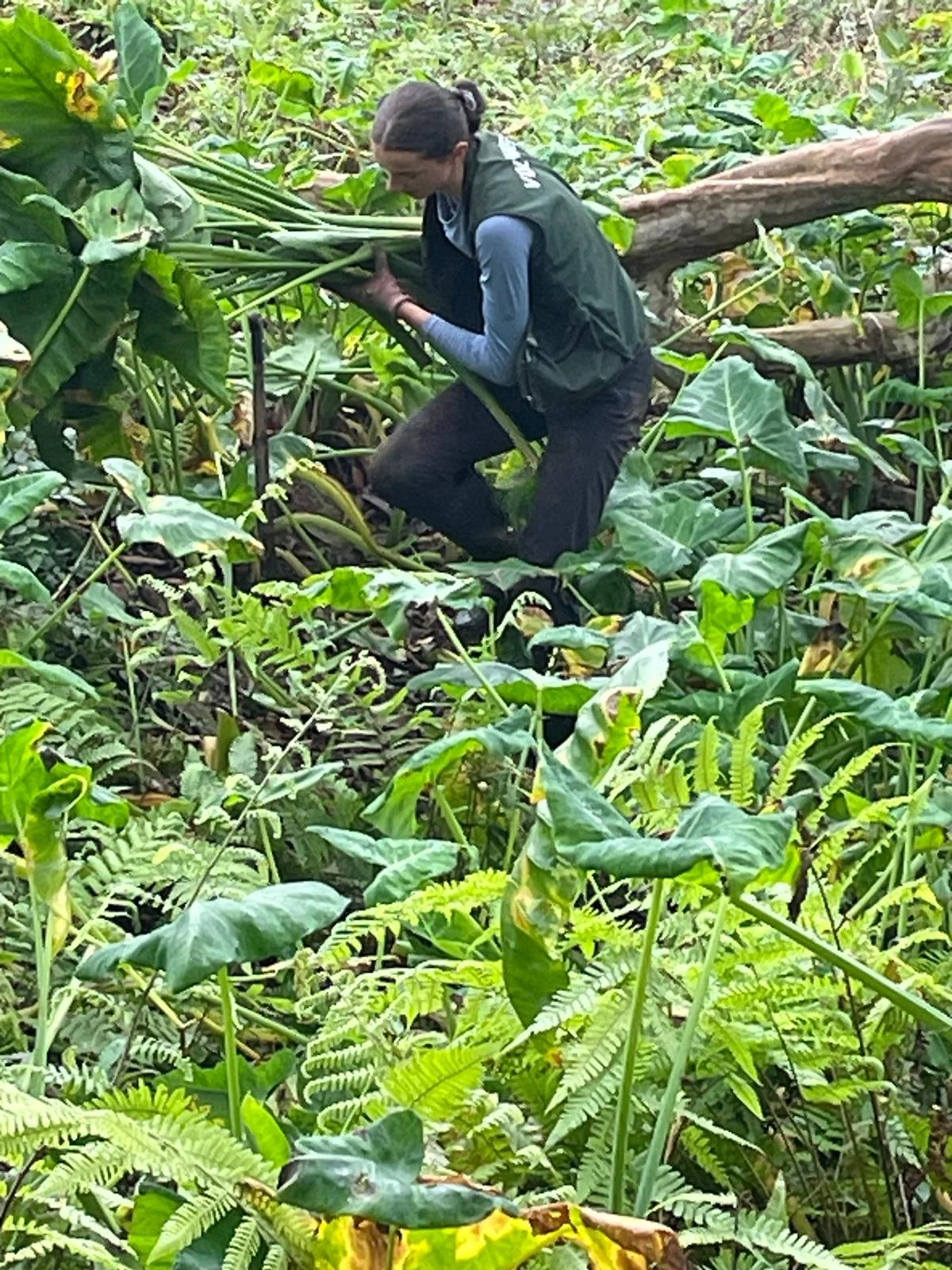 WhatsApp Image 2025-10-08 at 11.05.39.jpeg