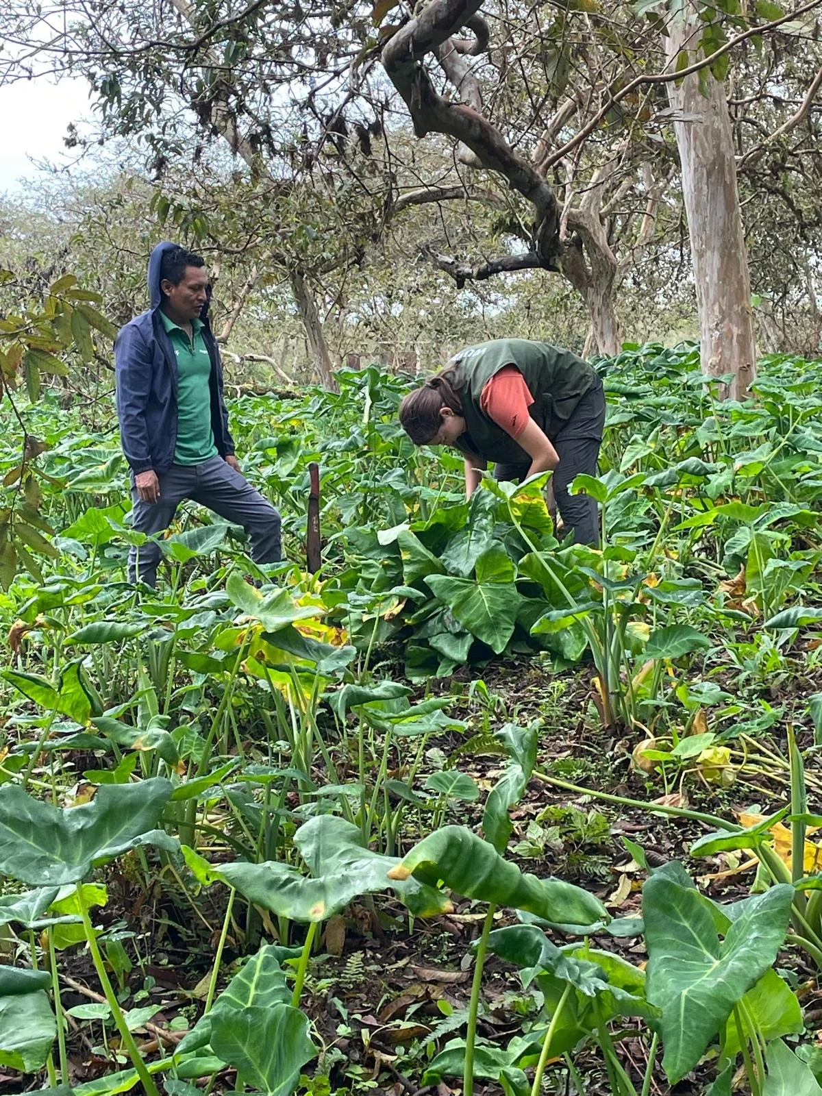 WhatsApp Image 2025-10-08 at 11.05.47 (1).jpeg