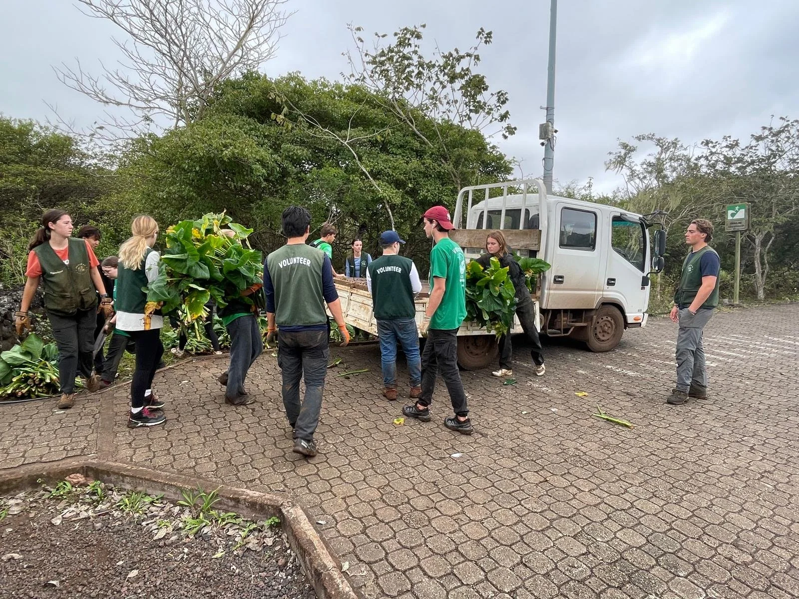 WhatsApp Image 2025-10-08 at 11.05.47.jpeg