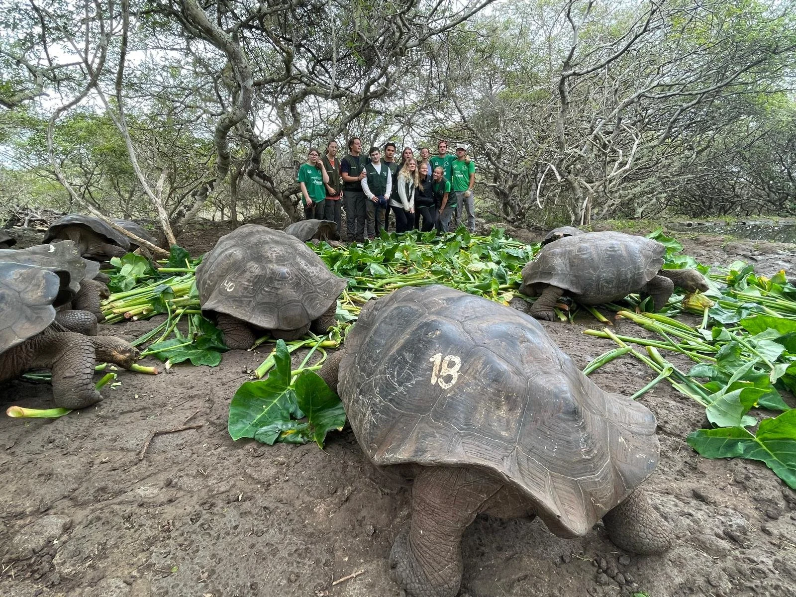 WhatsApp Image 2025-10-08 at 11.05.48 (1).jpeg