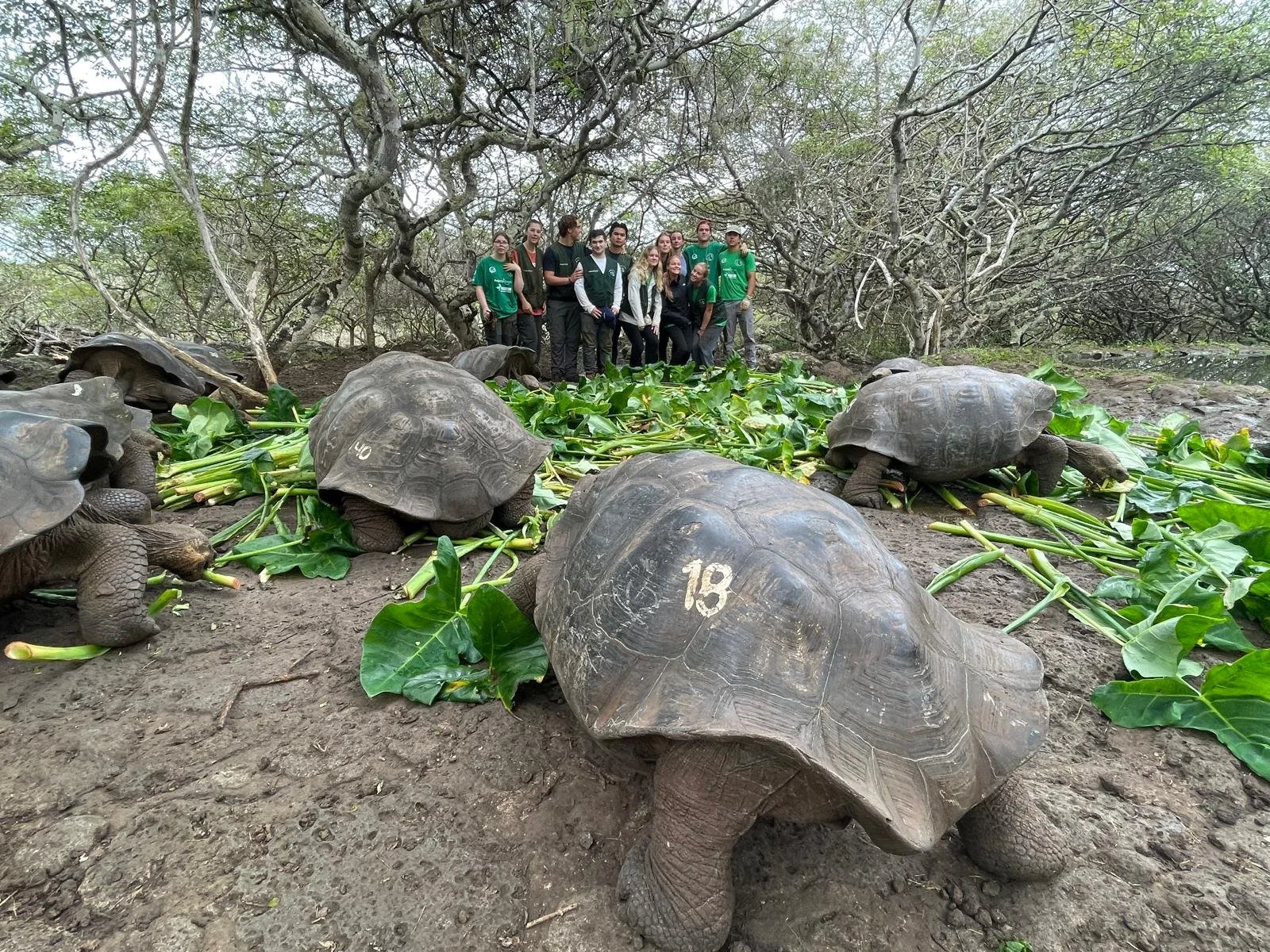 WhatsApp Image 2025-10-08 at 11.05.48 (2).jpeg