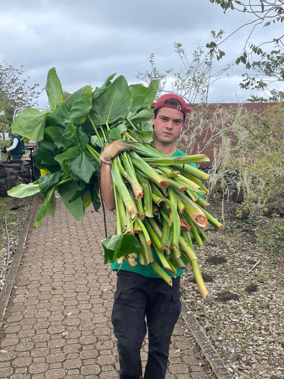 WhatsApp Image 2025-10-08 at 11.05.48 (7).jpeg