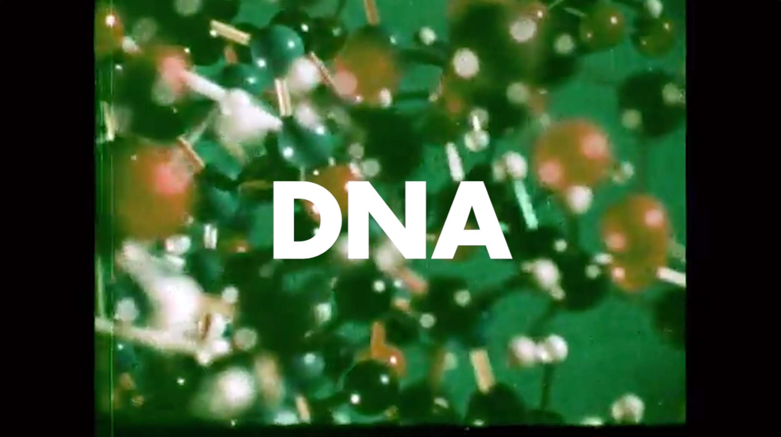 Artboard 22 copy@2x.png