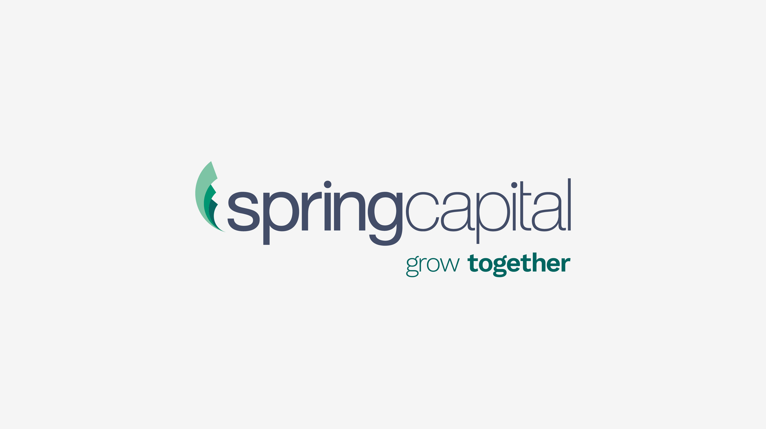 -springcapital-5@2x.png