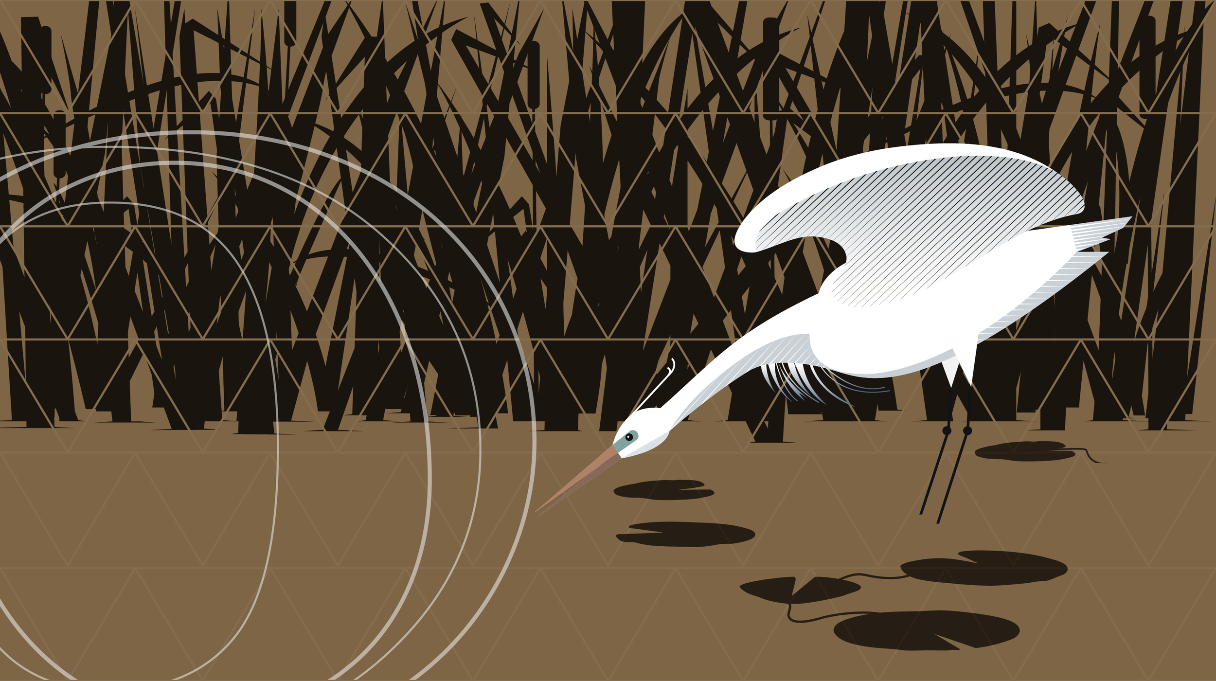 Artboard 2 copy 6@2x.png