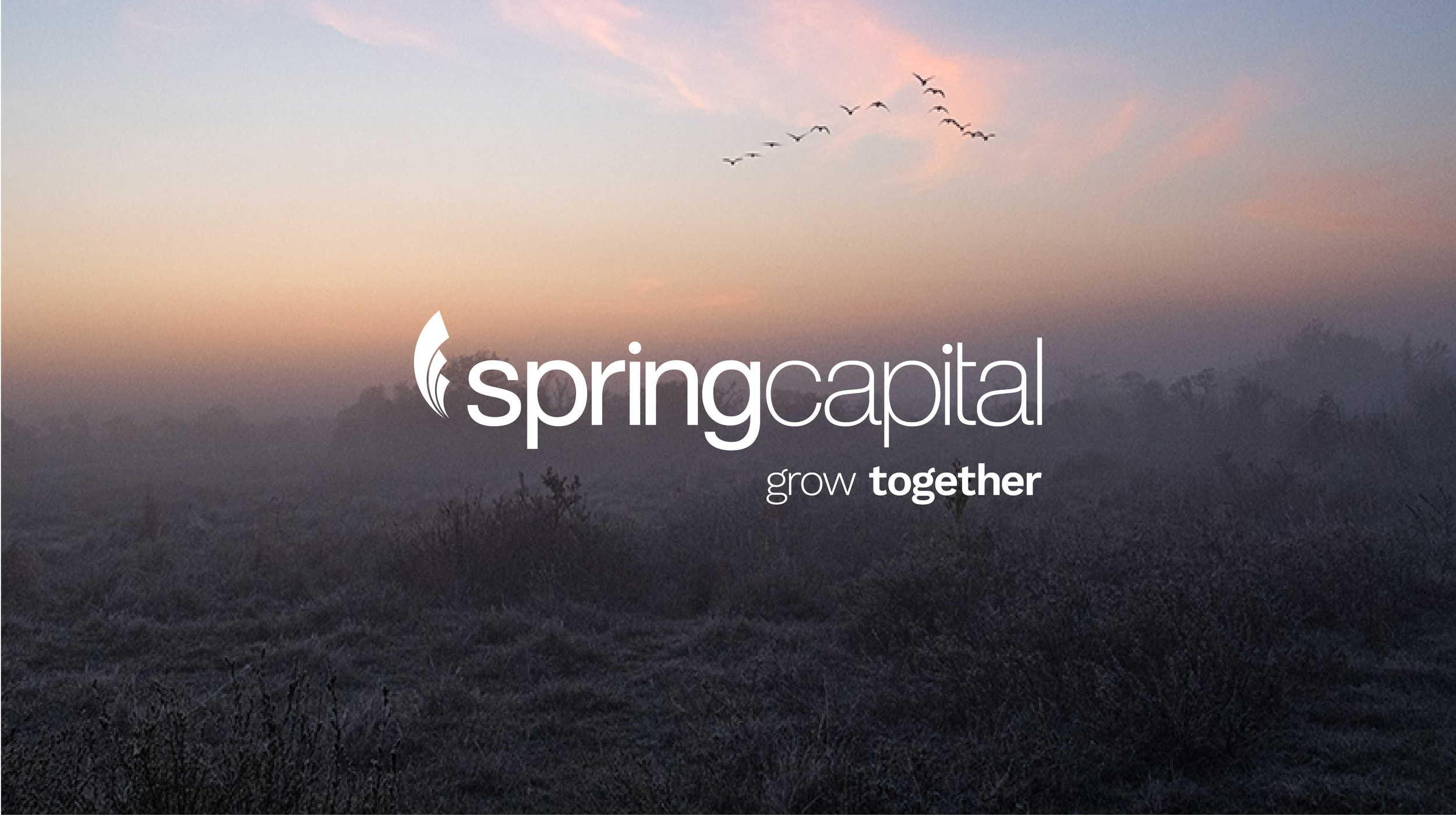 spring-capital
