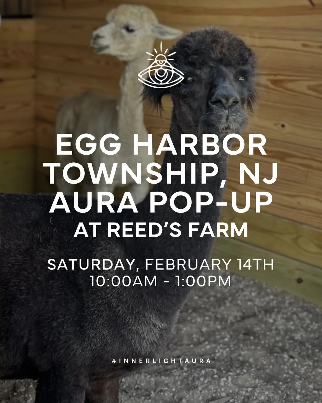 Alpaca your aura and meet us at the farm ✨🦙
Join us for an Aura Photography Pop-Up at Reed&rsquo;s Farm in Egg Harbor Township, NJ!
📅 Saturday, February 14 @reedsfarm 
⏰ 10:00AM&ndash;1:00PM
Good vibes, farm energy, and unforgettable auras 💫

Disc