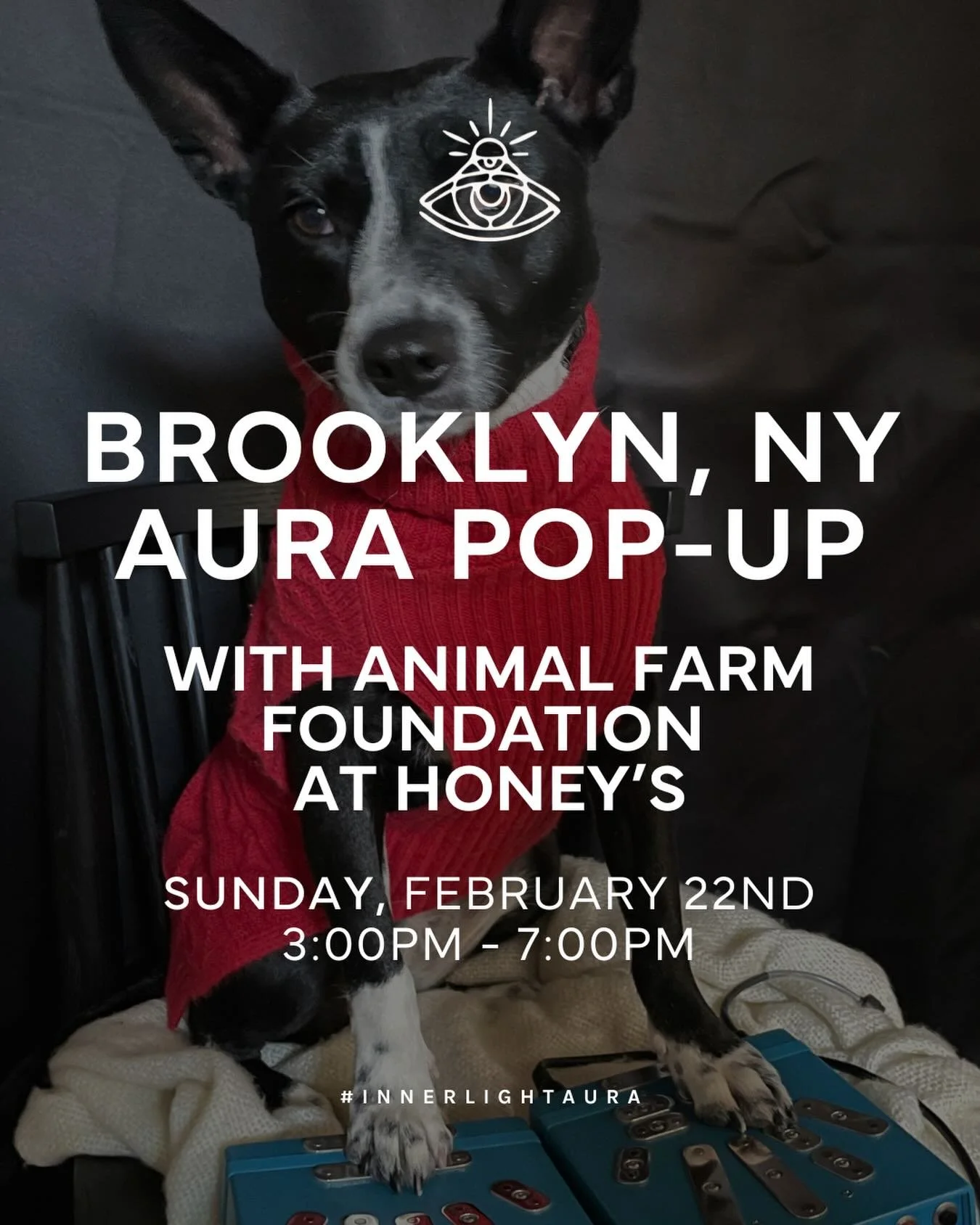 Brooklyn, we&rsquo;re bringing the vibes (and the pups) 🐶✨
Join us Sunday, February 22nd from 3&ndash;7PM at Honey&rsquo;s for a special Aura Pop-Up with @animalfarmfoundation .

Come get your aura photographed and support an incredible cause. 💫

D