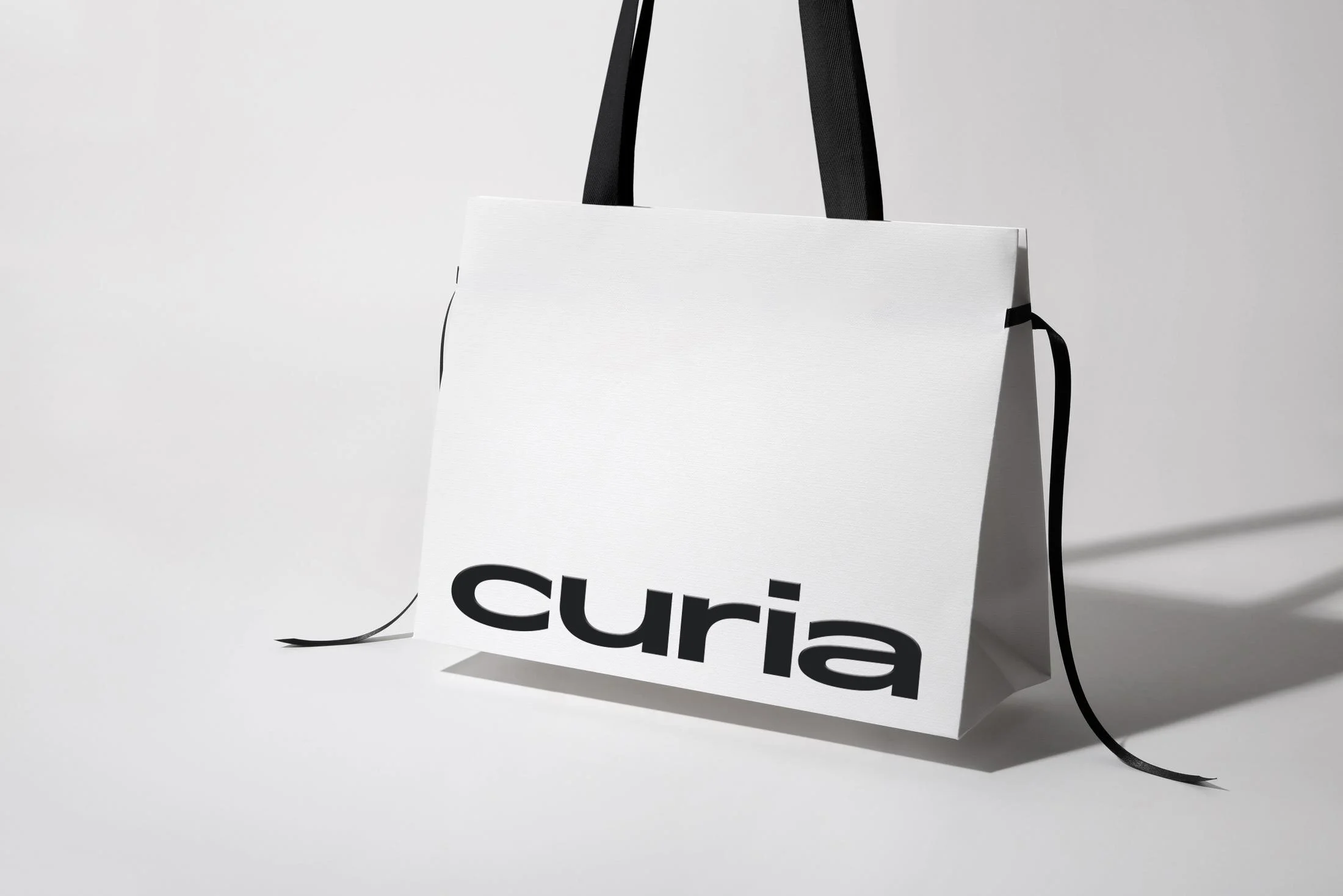 curia-bag-2.jpg